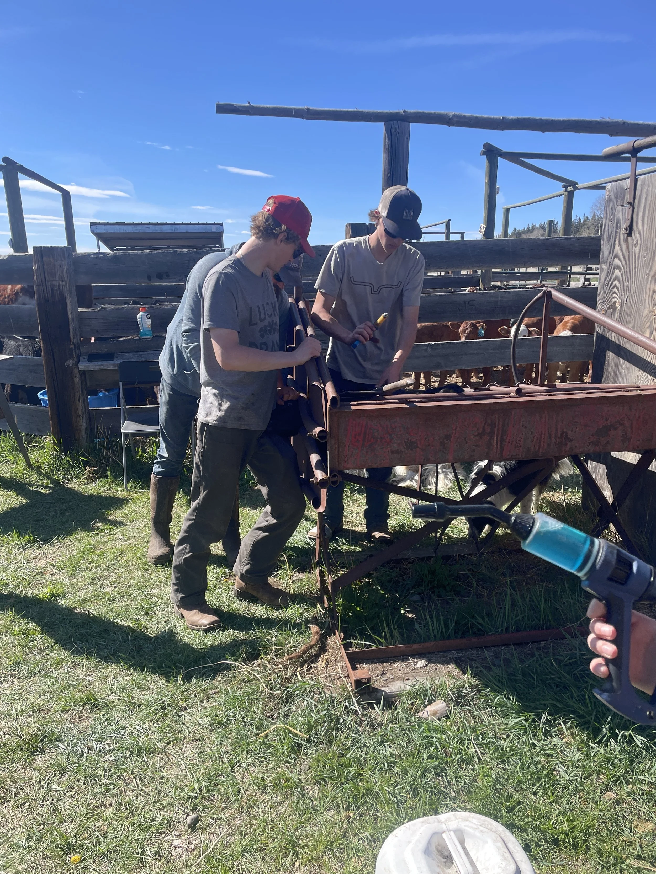 The next generation of the Mullin family enjoying life on the ranch in Logan Lake, BC. Teghan Mullin, Jaiden Mullin