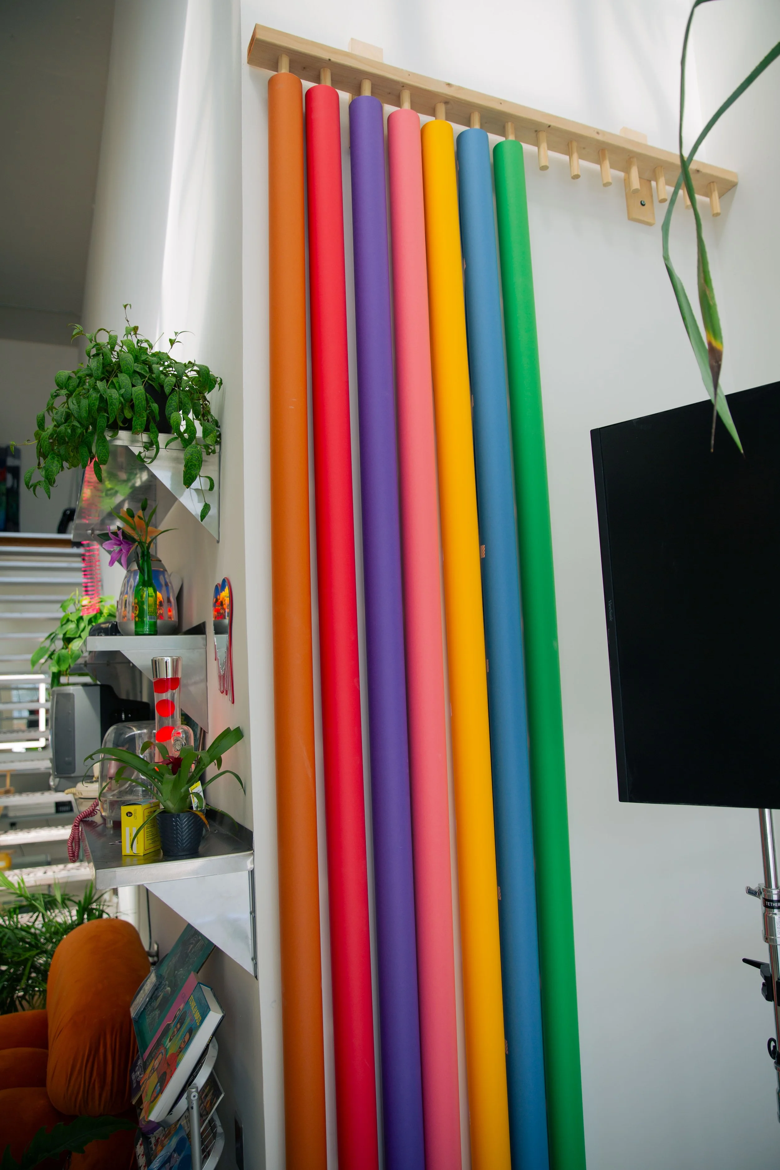 Colorful foam noodles in orange, red, purple, pink, yellow, blue, and green hanging on a wall hook in an indoor space. There are plants, books, and decorative items in the background.