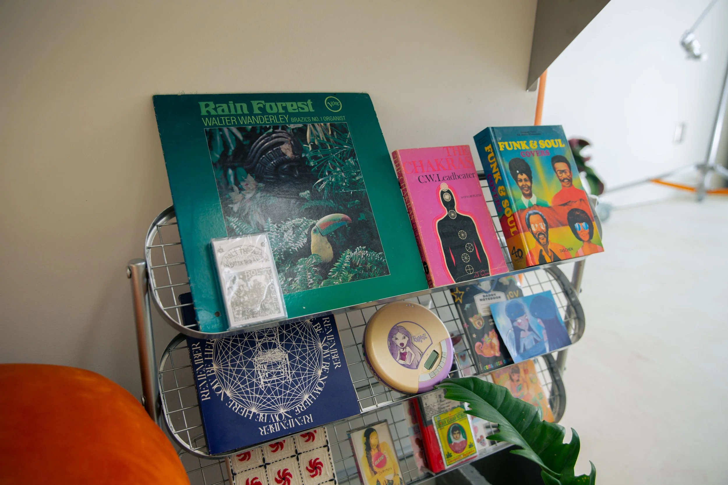 Books on a metal shelf, including 'Rain Forest' by Walter Wanderley, 'The Chakras' by C.W. Leadbeater, and 'Funk & Soul Covers,' with a partially visible orange pumpkin and green plant in the foreground.