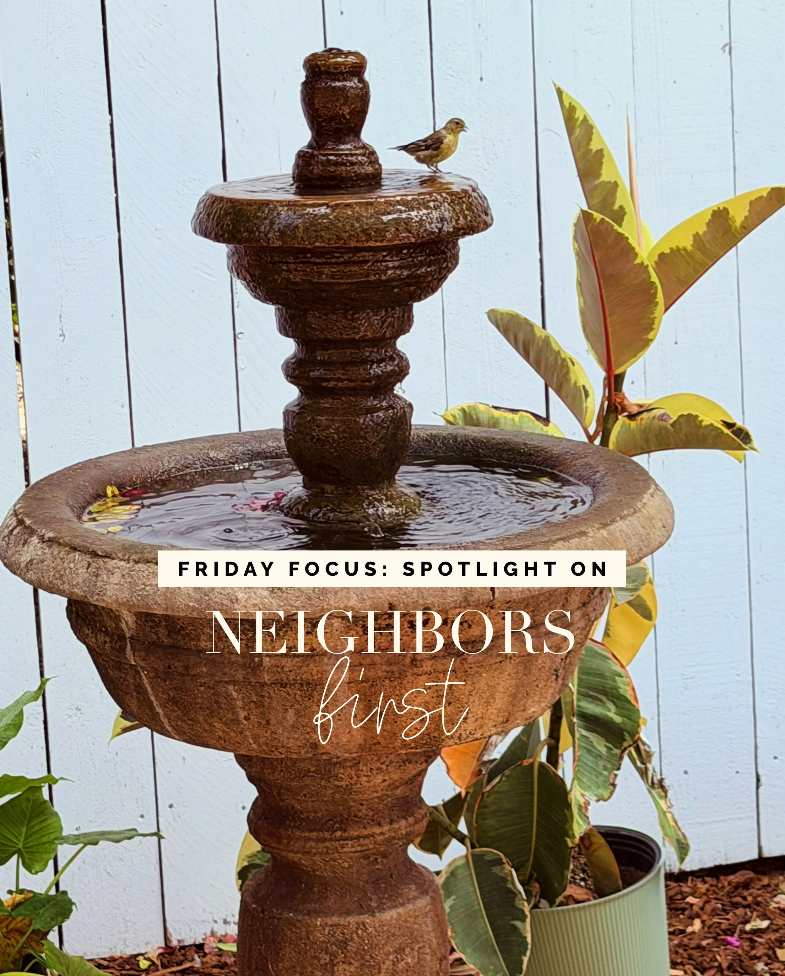 F R I D A Y focus: Spotlight on &ldquo;Neighbors First.&rdquo; 

This week I&rsquo;m shining a light on the magic of opening a home to the neighborhood before opening the doors to the public.

There is a reason that I love a neighbors-only preview. I