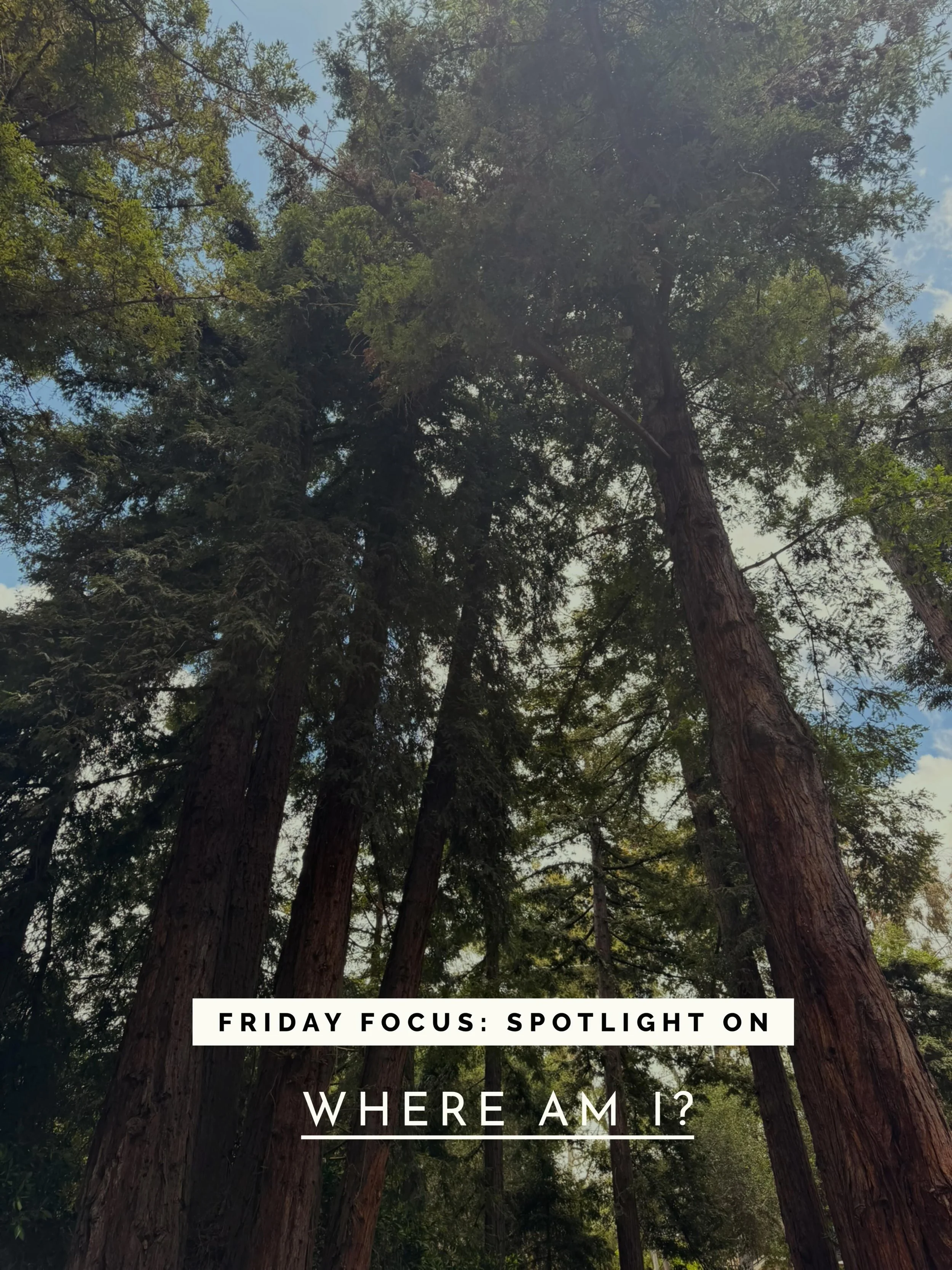 F R I D A Y Focus: Spotlight on Where Am I?

This week I&rsquo;m shining a light on towering redwoods. Dark-stained wood. A soaking tub overlooking the trees. 

It looks like Tahoe but, GUESS what? &hellip;

It&rsquo;s Santa Barbara! 😮

921 El Ranch
