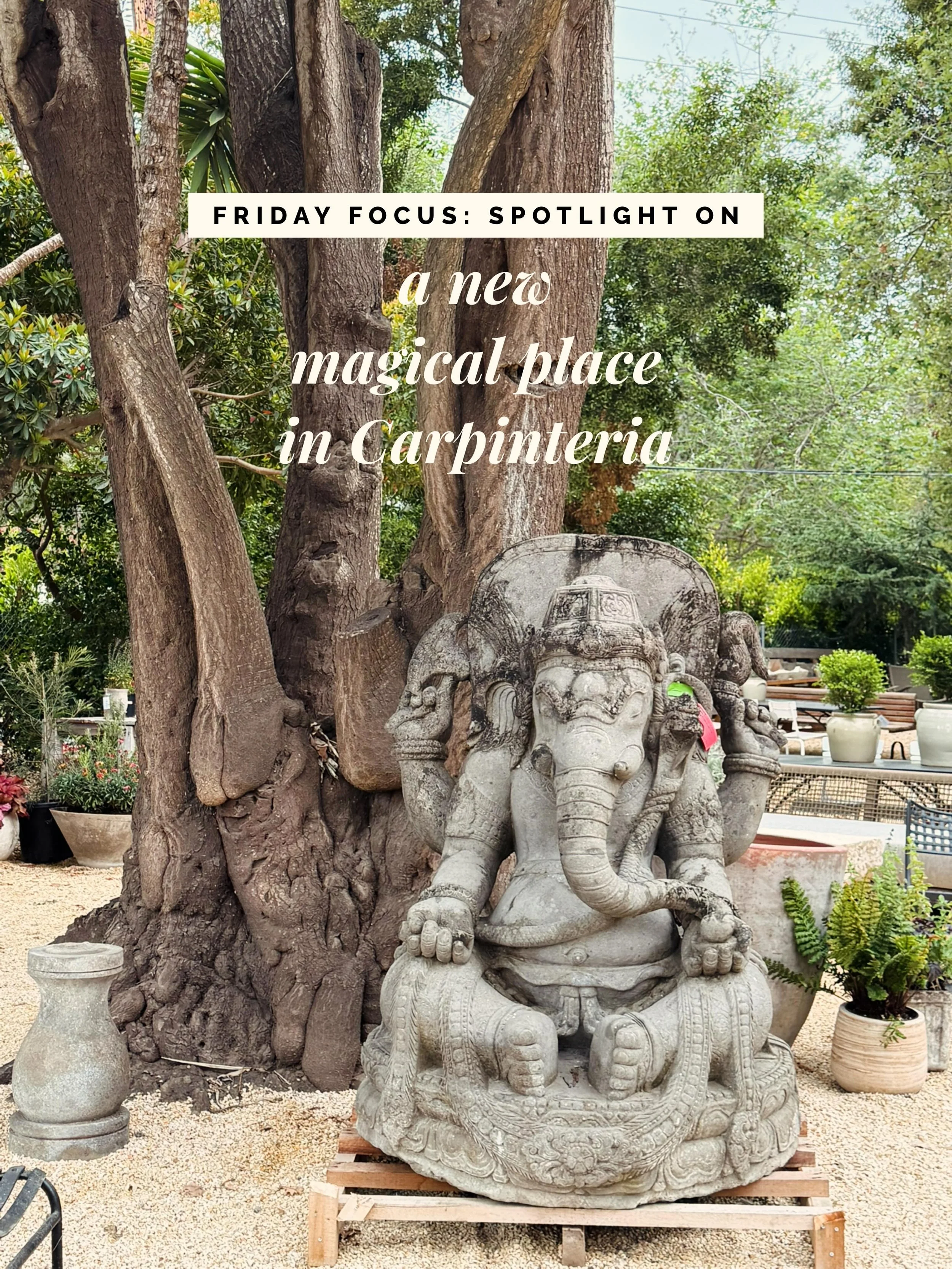 FRIDAY FOCUS: Spotlight on a New Magical Place in Carpinteria. 

This week I&rsquo;m shining a light on The Well Gardens &mdash; the stunning new expansion of The Well In Summerland. @thewellsummerland 

A nine acre wonderland tucked next to the Polo