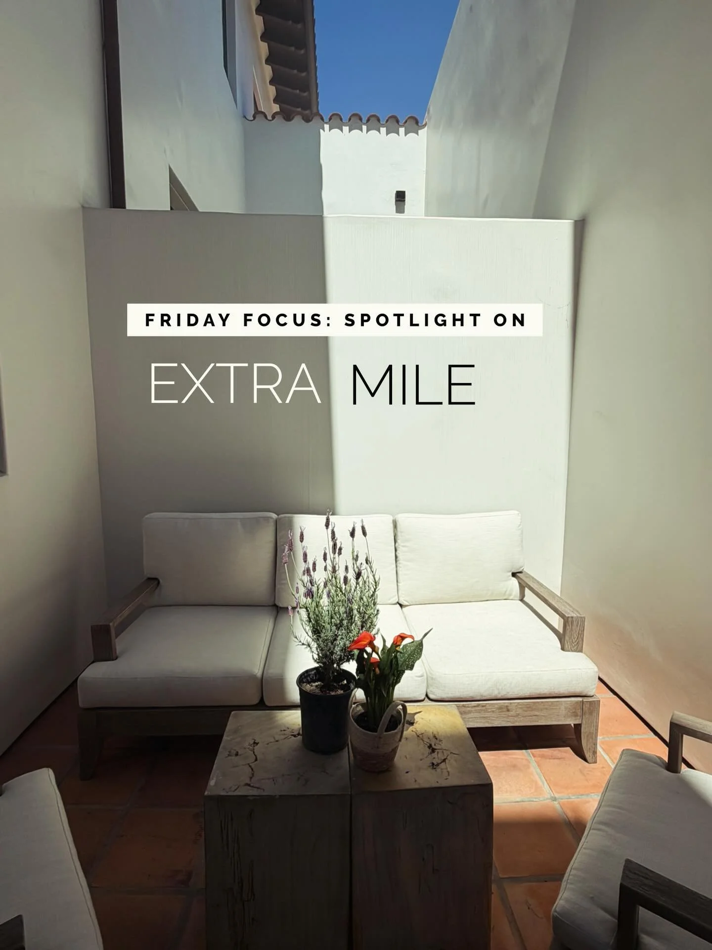 FRIDAY FOCUS: Spotlight on &ldquo;The Extra Mile.&rdquo;

This week I&rsquo;m shining a light on a courtyard brought to life with lavender, calla lilies, and succulents. 

Hydrangeas on a dining table glowing under candlelight. 

A living room with s