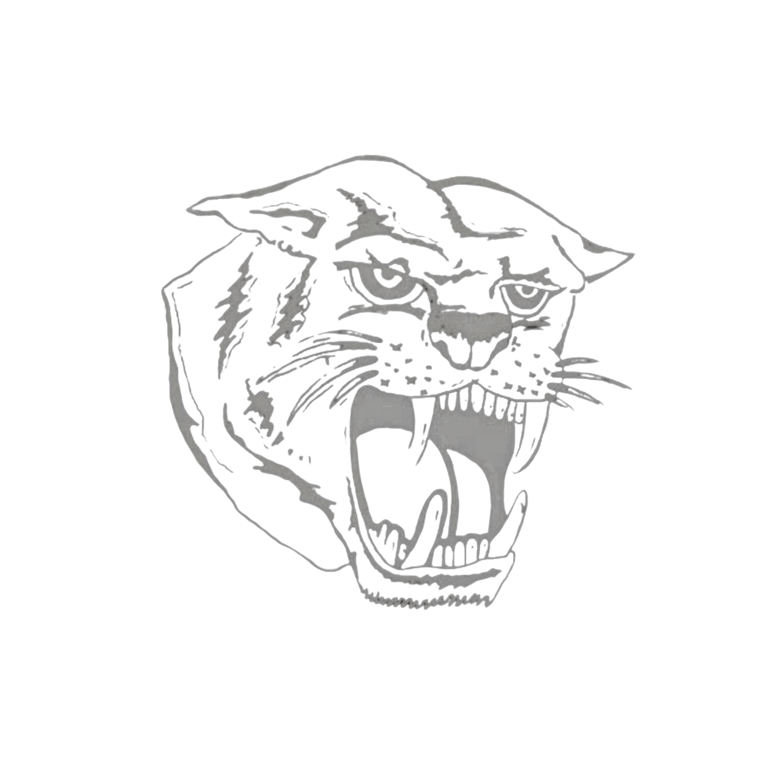 THE BLACK CATS