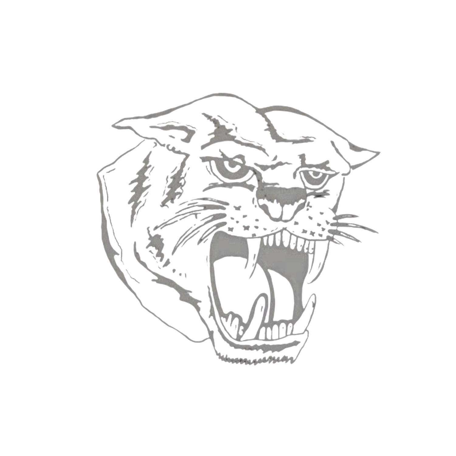 THE BLACK CATS