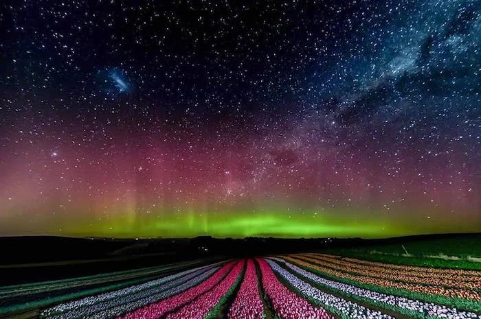 700Aurora-Australis-Tasmania-credit-@tasmania-@leannemarshall-copy.jpeg