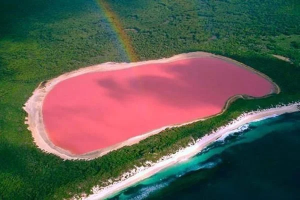 c20ba529a158723f32_lake-hillier-pink-lake-in-australia-4.jpg