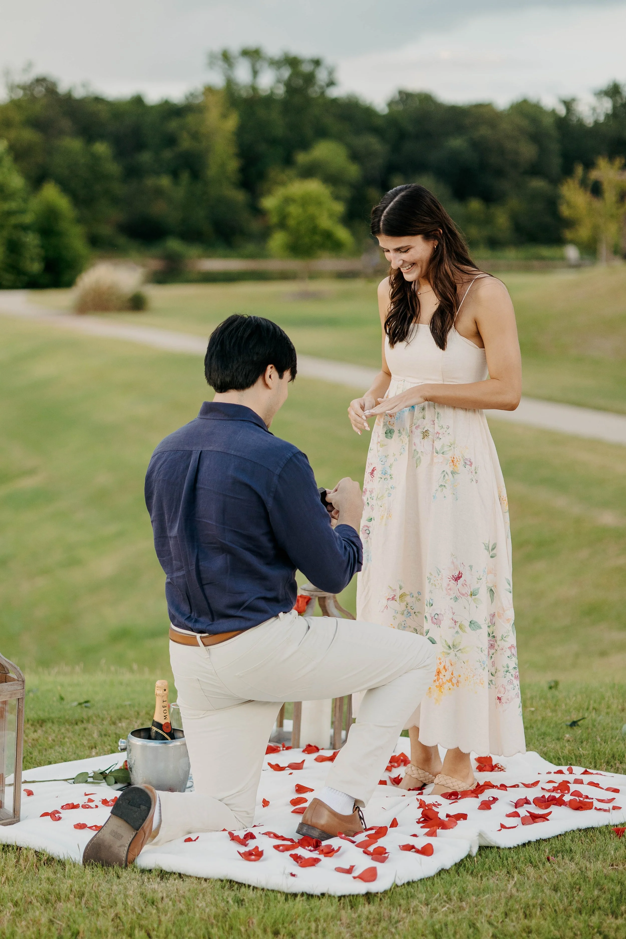 A man is proposing marriage to a woman outdoors on a blanket covered with rose petals, with a bottle of champagne in an ice bucket nearby. The woman is smiling and holding hands above her waist, wearing a long floral dress, while the man is kneeling 