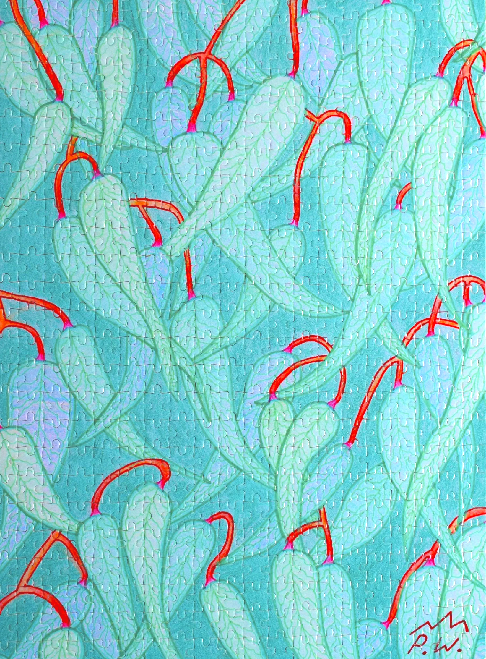 Inspired by Forest Red Gum