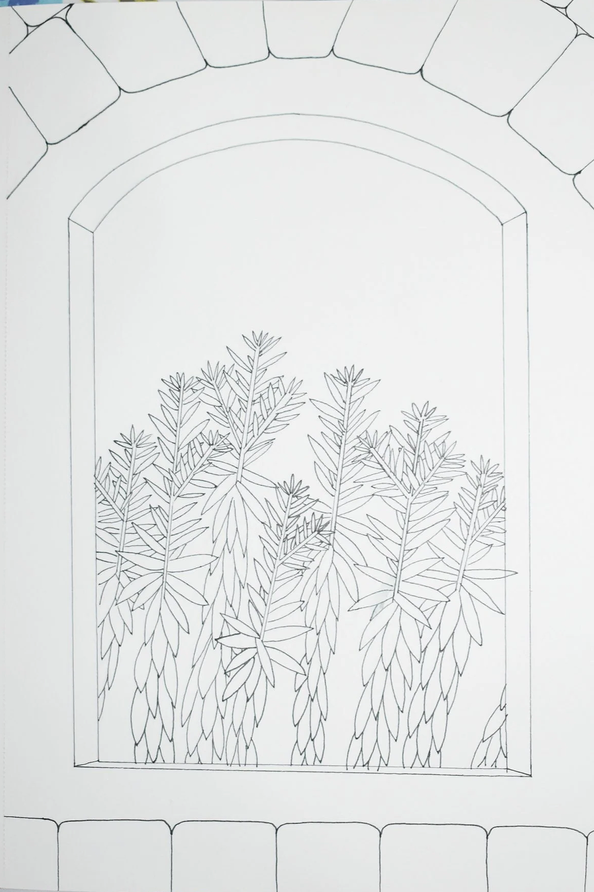 The Sketch.