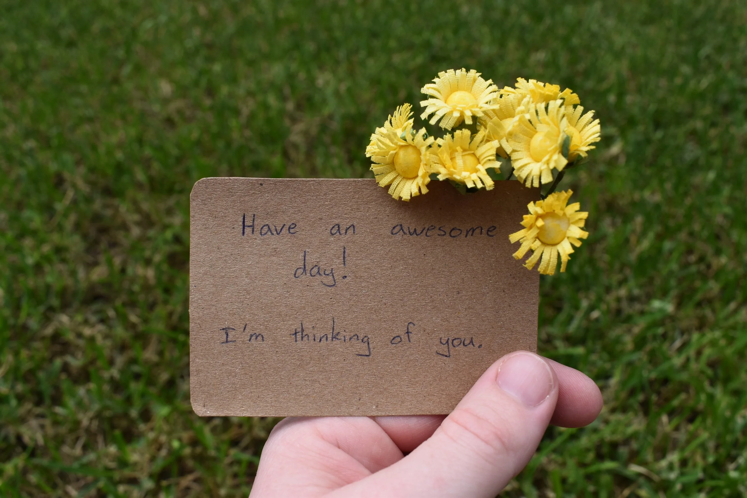 Wonder-Full Steps #2: Small Kindnesses 