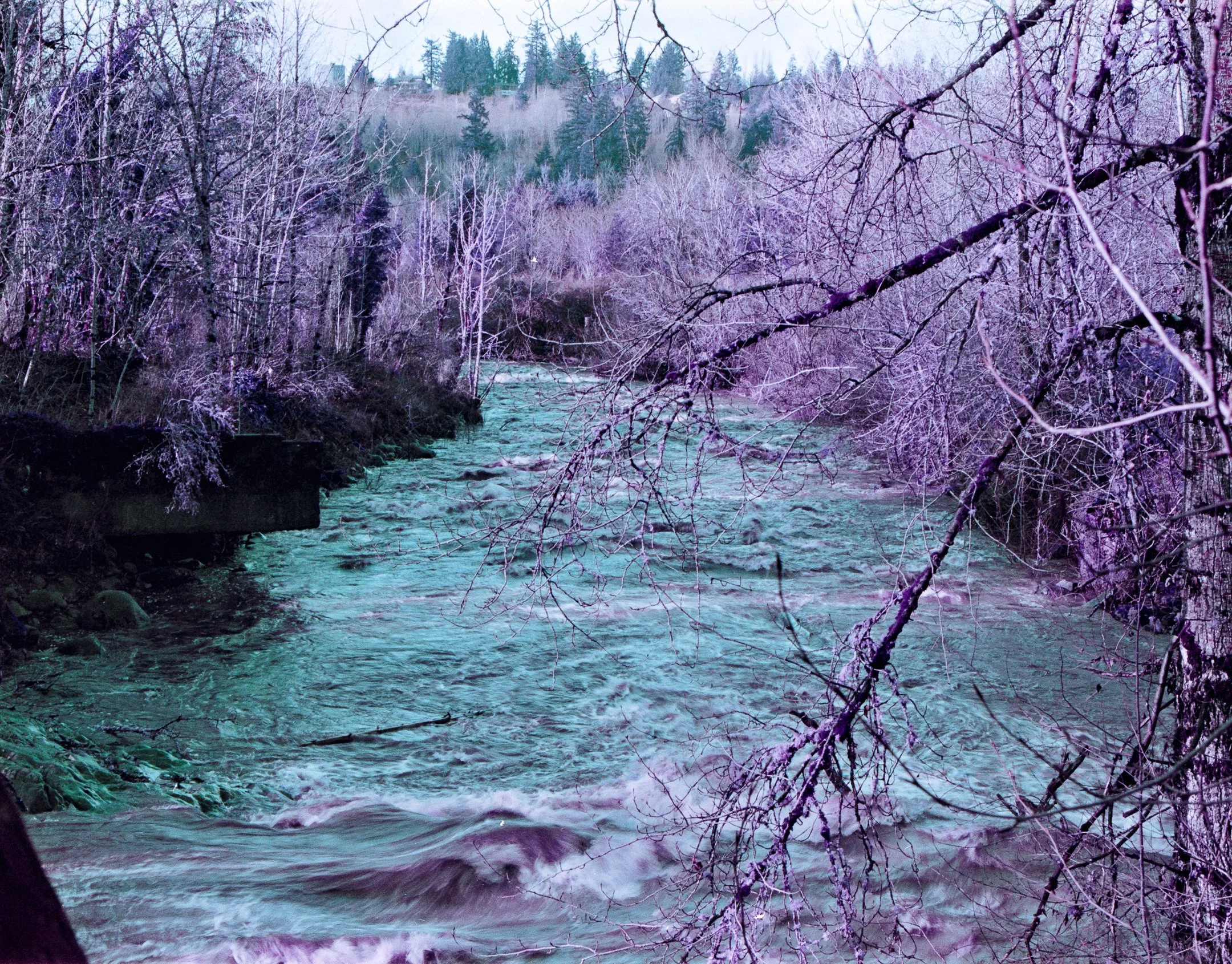 A flowing river with rocks and leafless trees along the banks, surrounded by a misty, mountainous landscape.