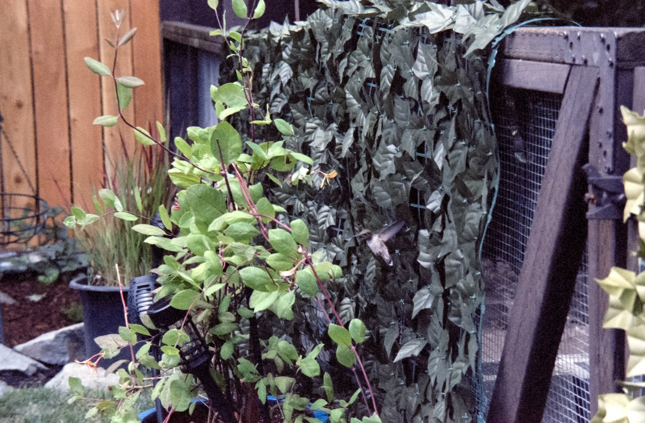 raw0040-instagram 3.46.15 PM.jpg