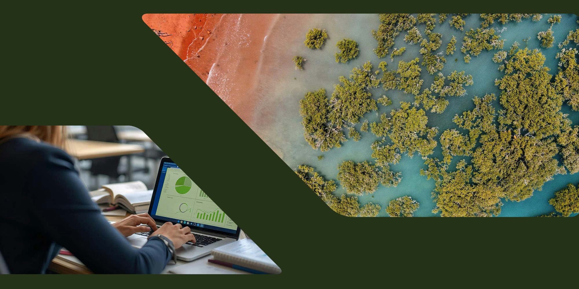 A person working on a laptop at a desk with open books, during daytime, with a split screen showing a drone view of a forest and wetlands.