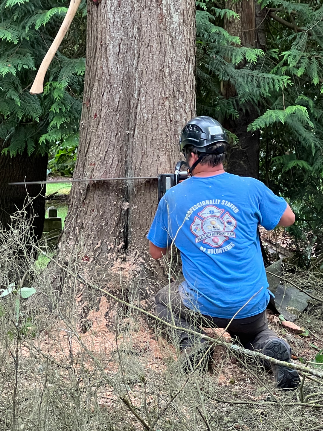 A firefighter kneeling on the ground next to a large tree, using a chainsaw to cut into the tree's trunk, surrounded by green foliage.