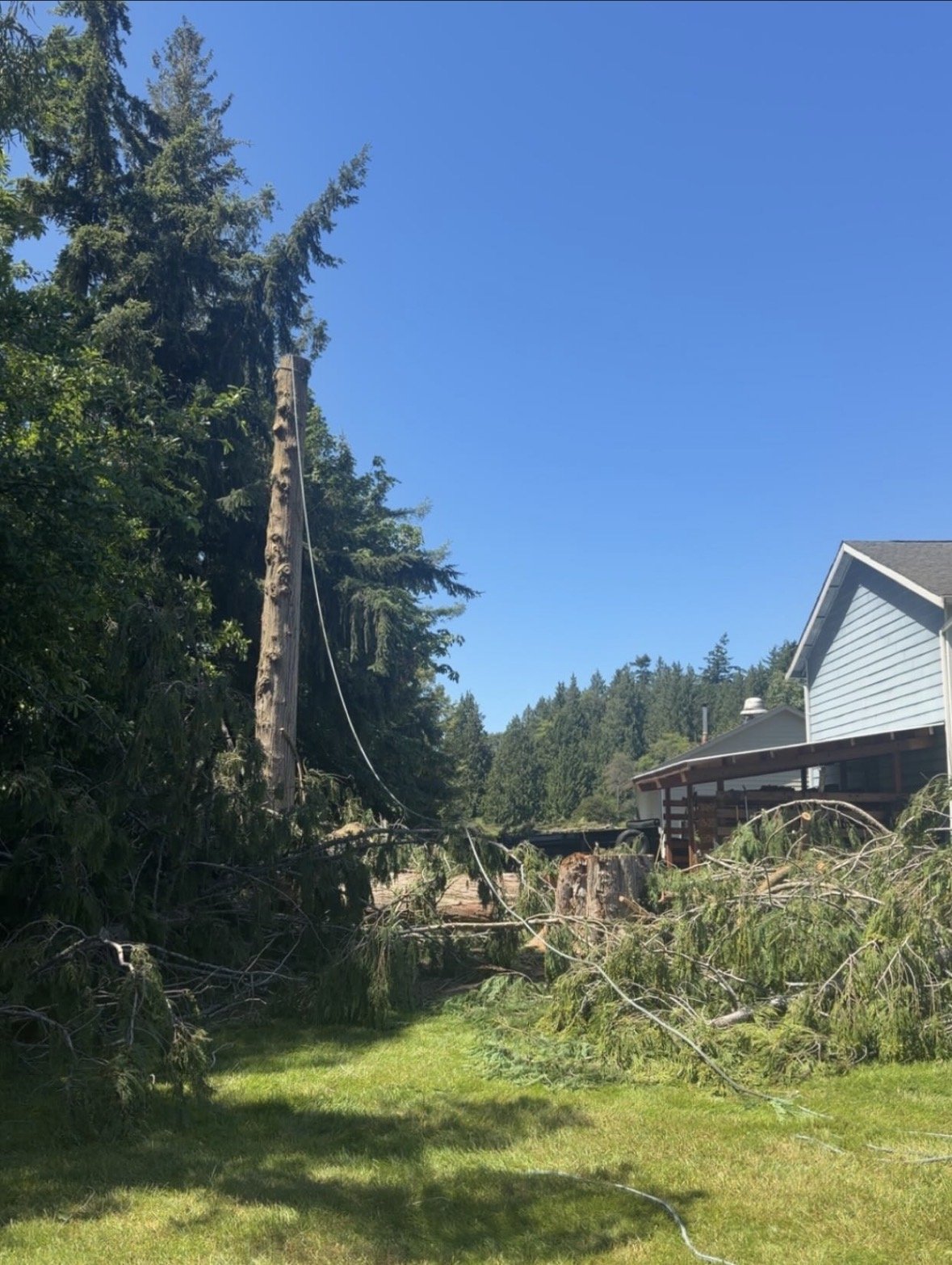 A fallen tree and damaged utility pole with downed power lines in a grassy yard, with a house on the right and a forested background under a clear blue sky.