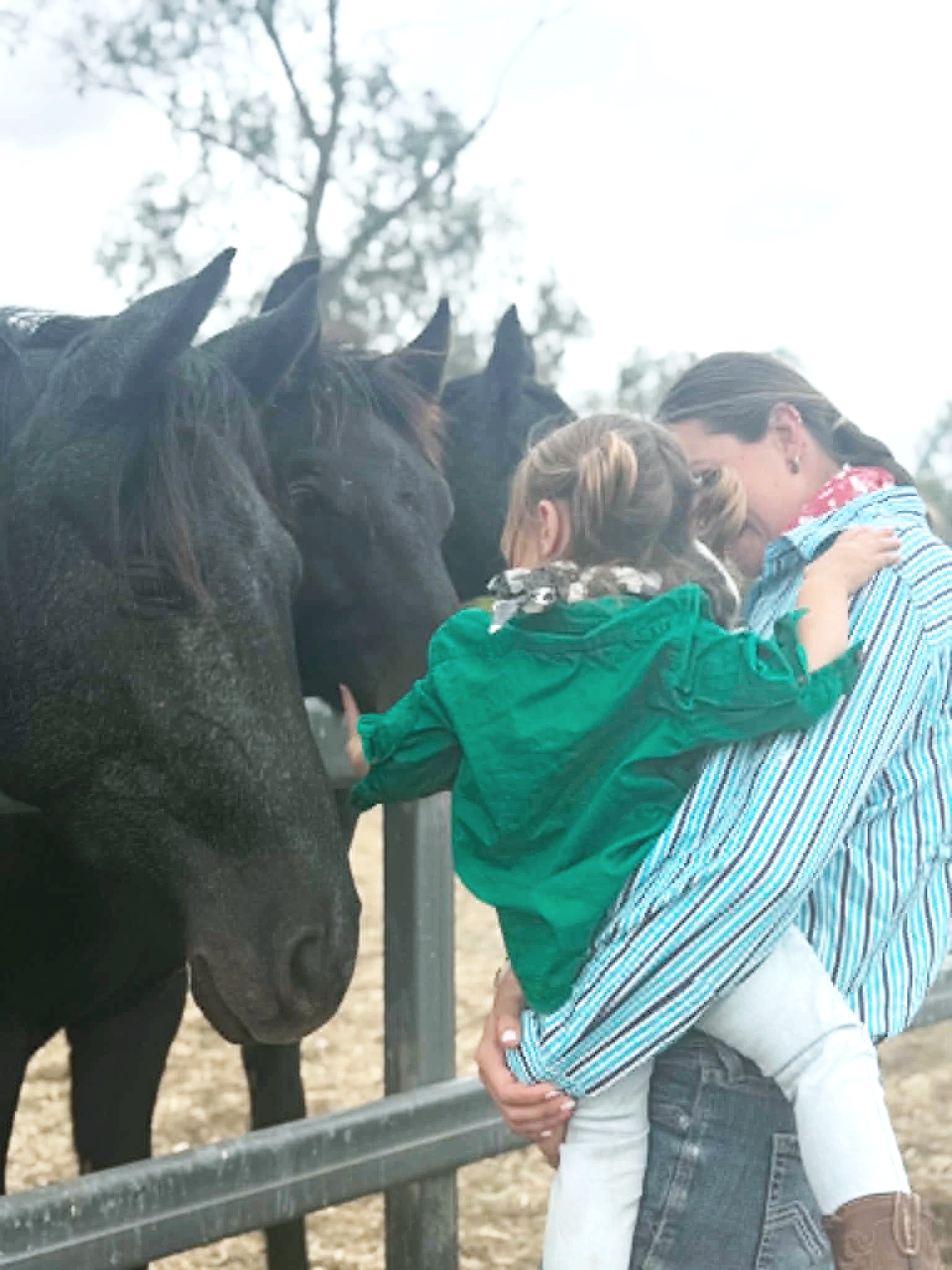 Two women are hugging a group of three horses, one of which is mostly black and the others are darker grey, at a farm or ranch. They are standing near a metal railing with trees in the background.