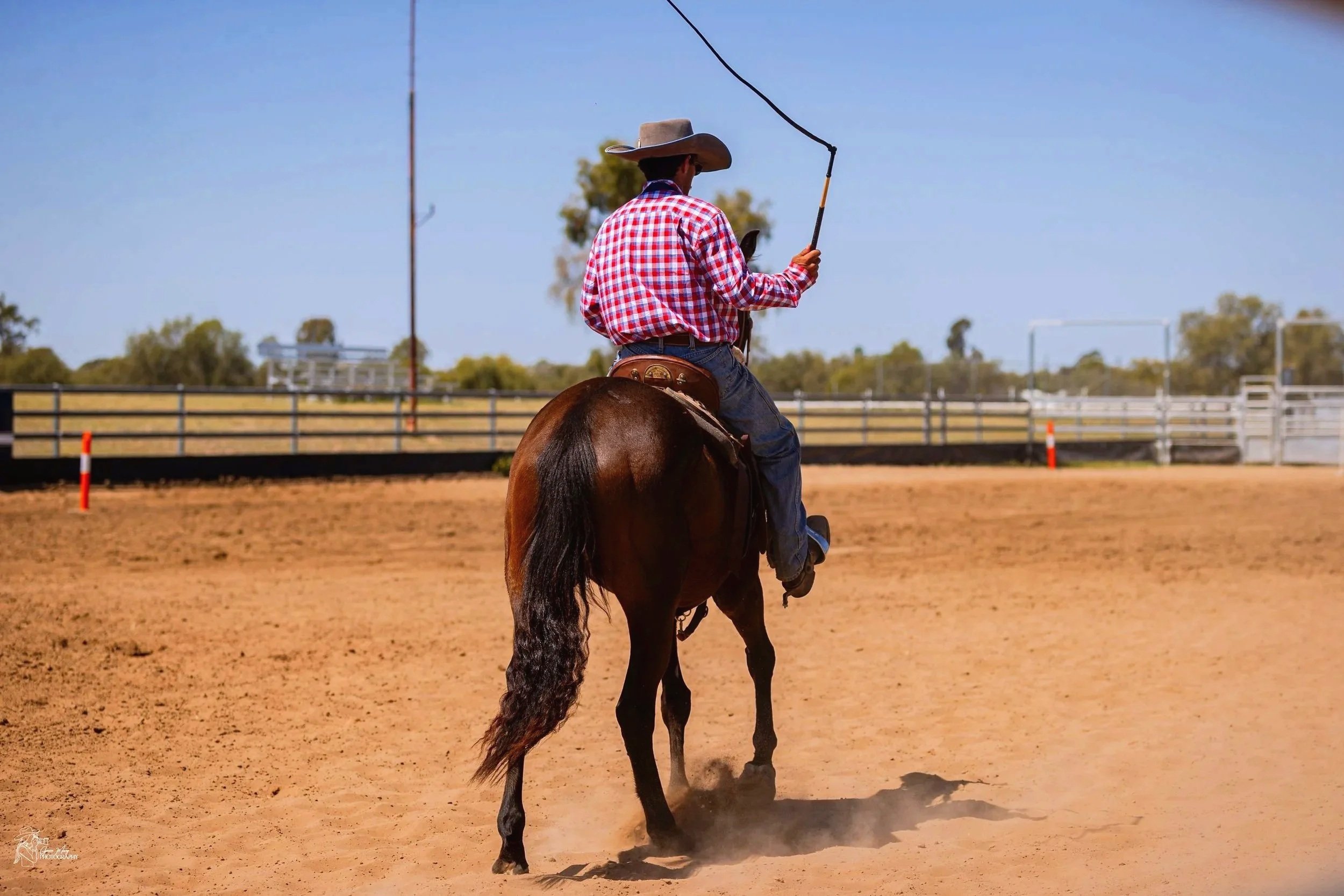 A person riding a horse in an outdoor arena, wearing a cowboy hat and a red plaid shirt, holding a lasso, with trees and a clear blue sky in the background.