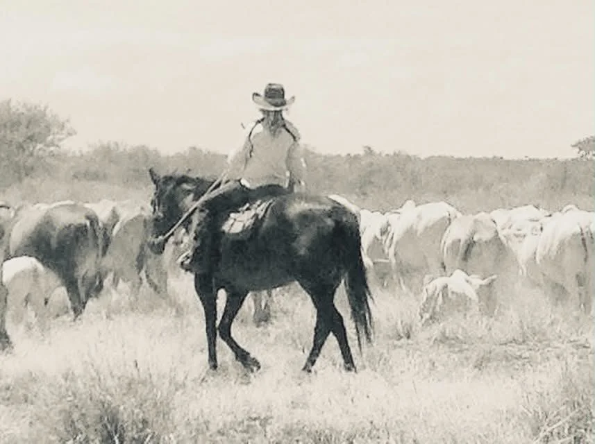 A person riding a horse in a field with cattle in the background, black-and-white photo.