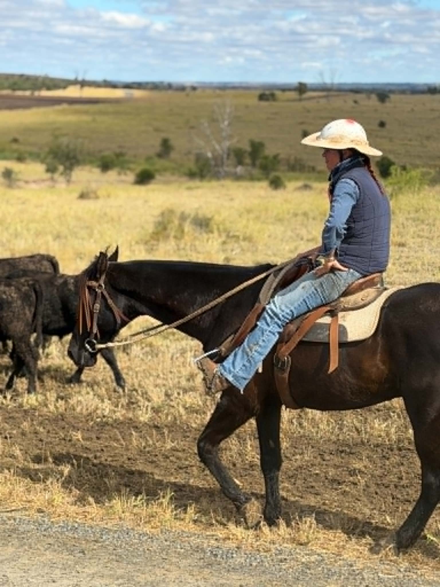 A person riding a horse in an open field with a blue sky and scattered clouds.