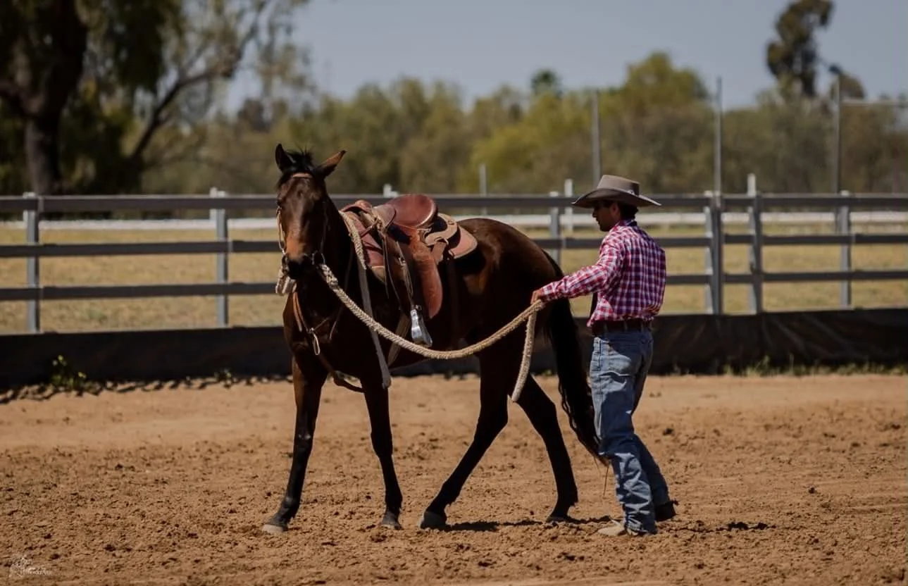 A person wearing a cowboy hat, plaid shirt, and jeans, holding the reins of a brown horse in a dirt arena, with a fence and trees in the background.