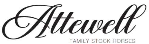 Your Site Title