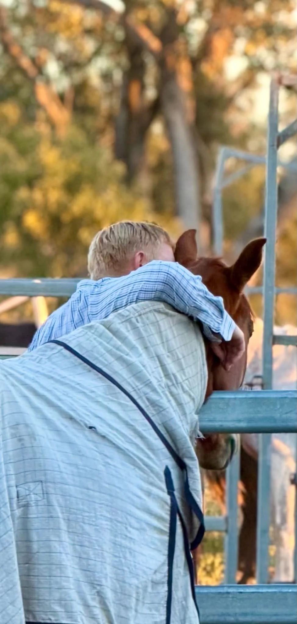 A young boy hugging a brown horse at a farm or ranch with trees in the background during sunset.