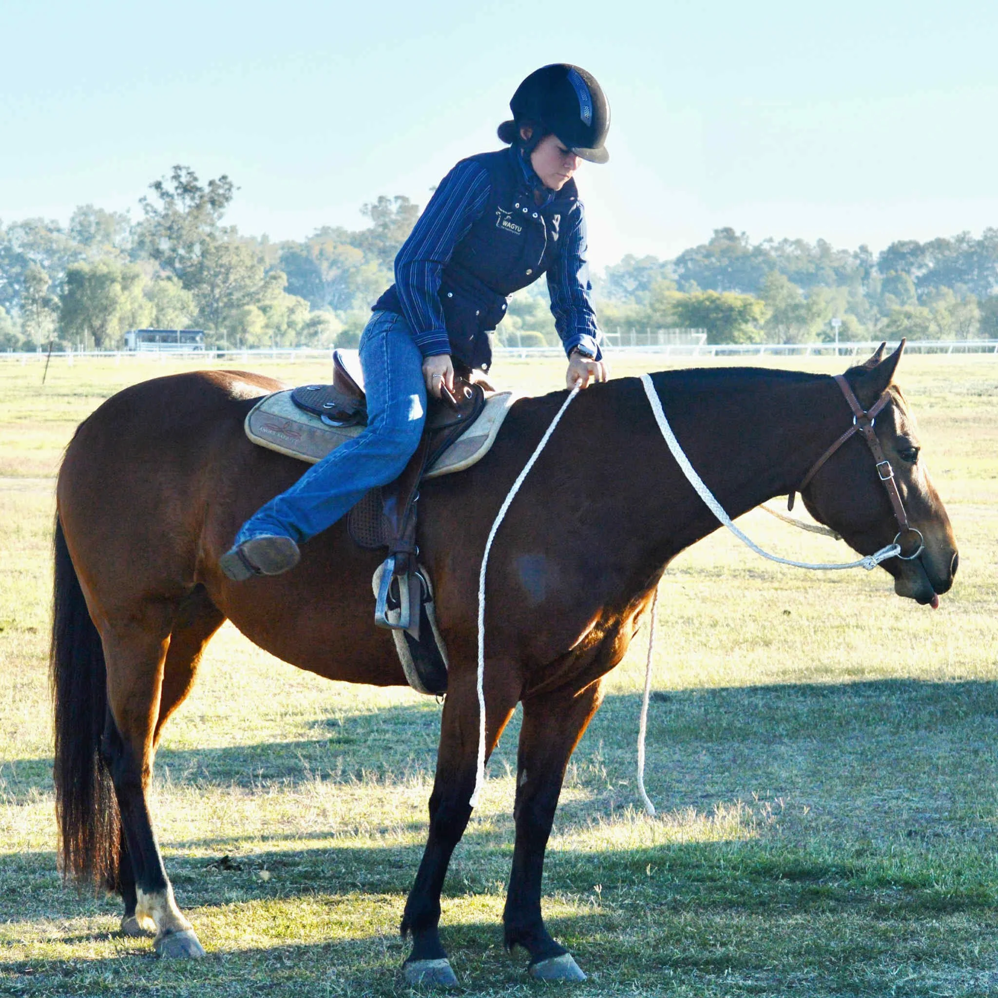 A person wearing a riding helmet and a dark vest with the word 'WAGYU' on it, sitting on a horse in an open field with trees in the background.