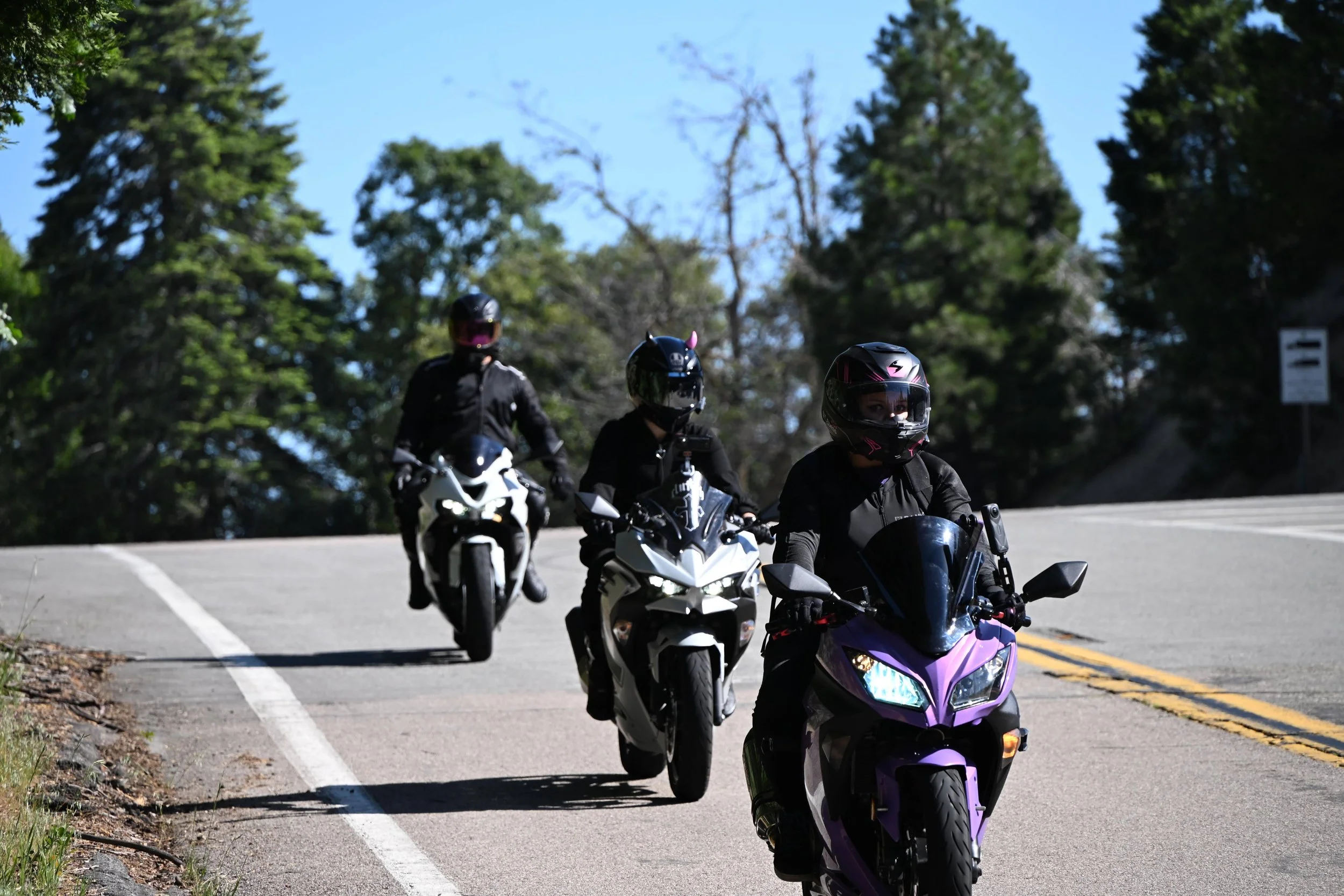 Three motorcyclists riding on a mountain road surrounded by trees, wearing helmets and protective gear.