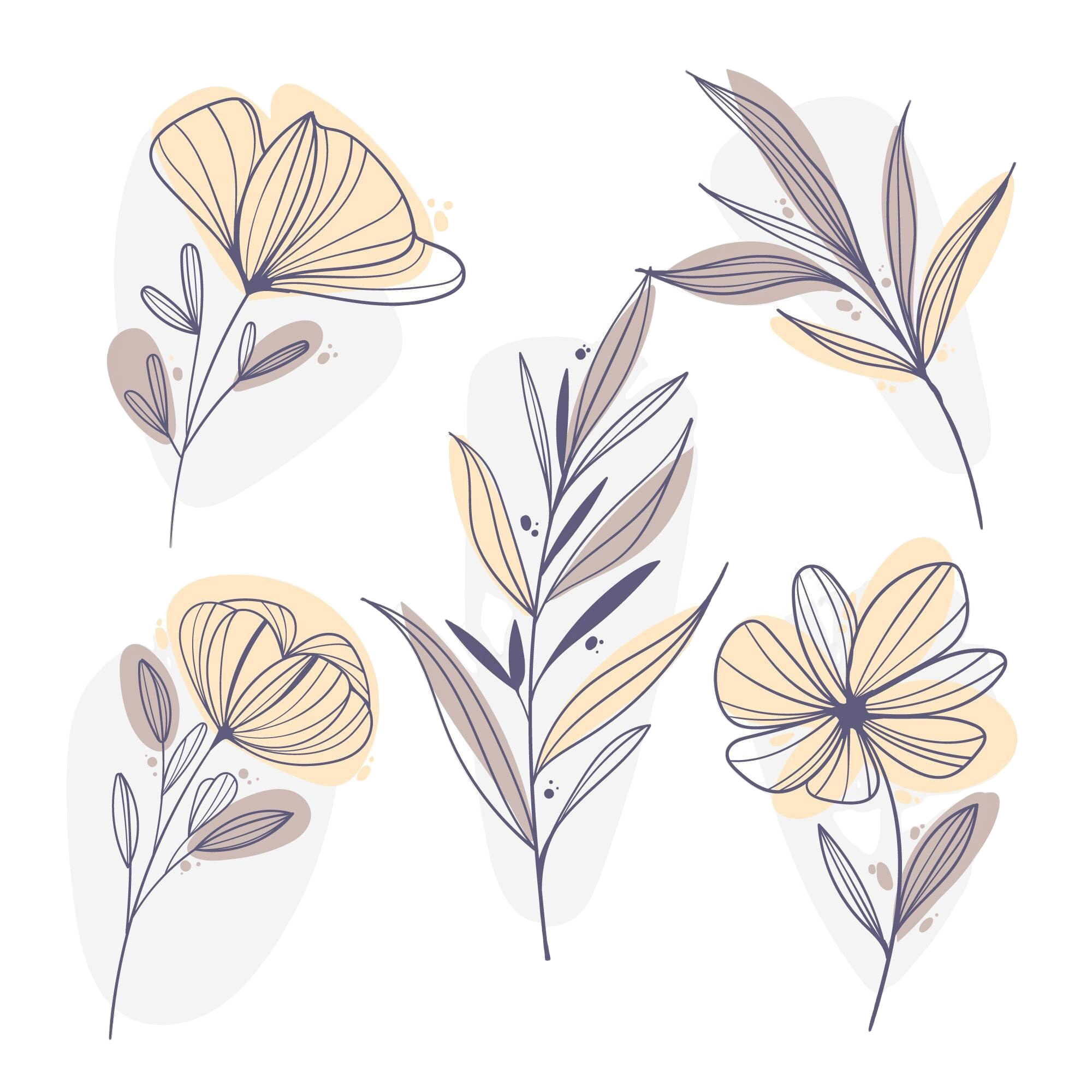 Illustration of butterfly and leaf drawings with beige, cream, and blue accents.