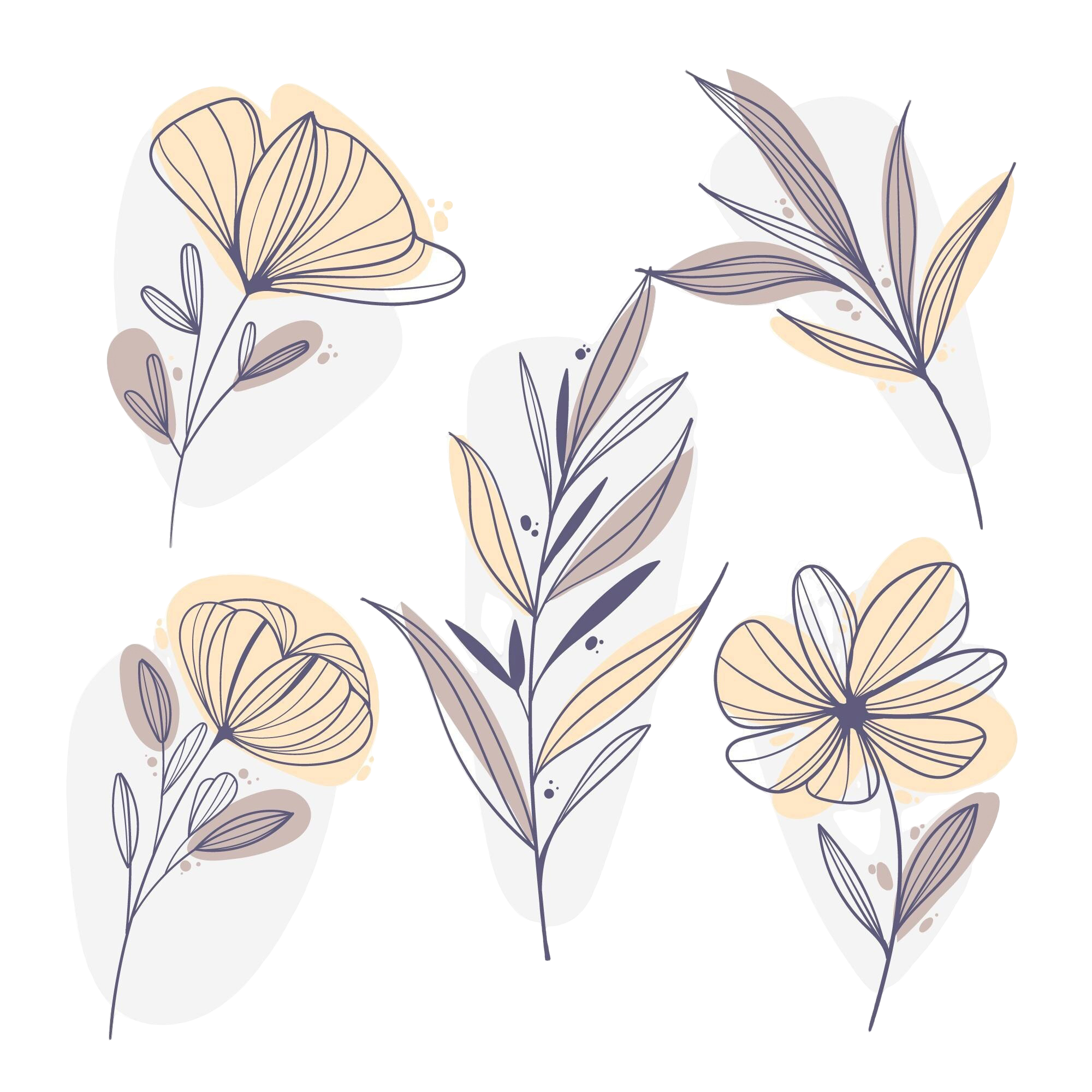 Stylized illustration of beige and purple flowers and leaves on a white background.
