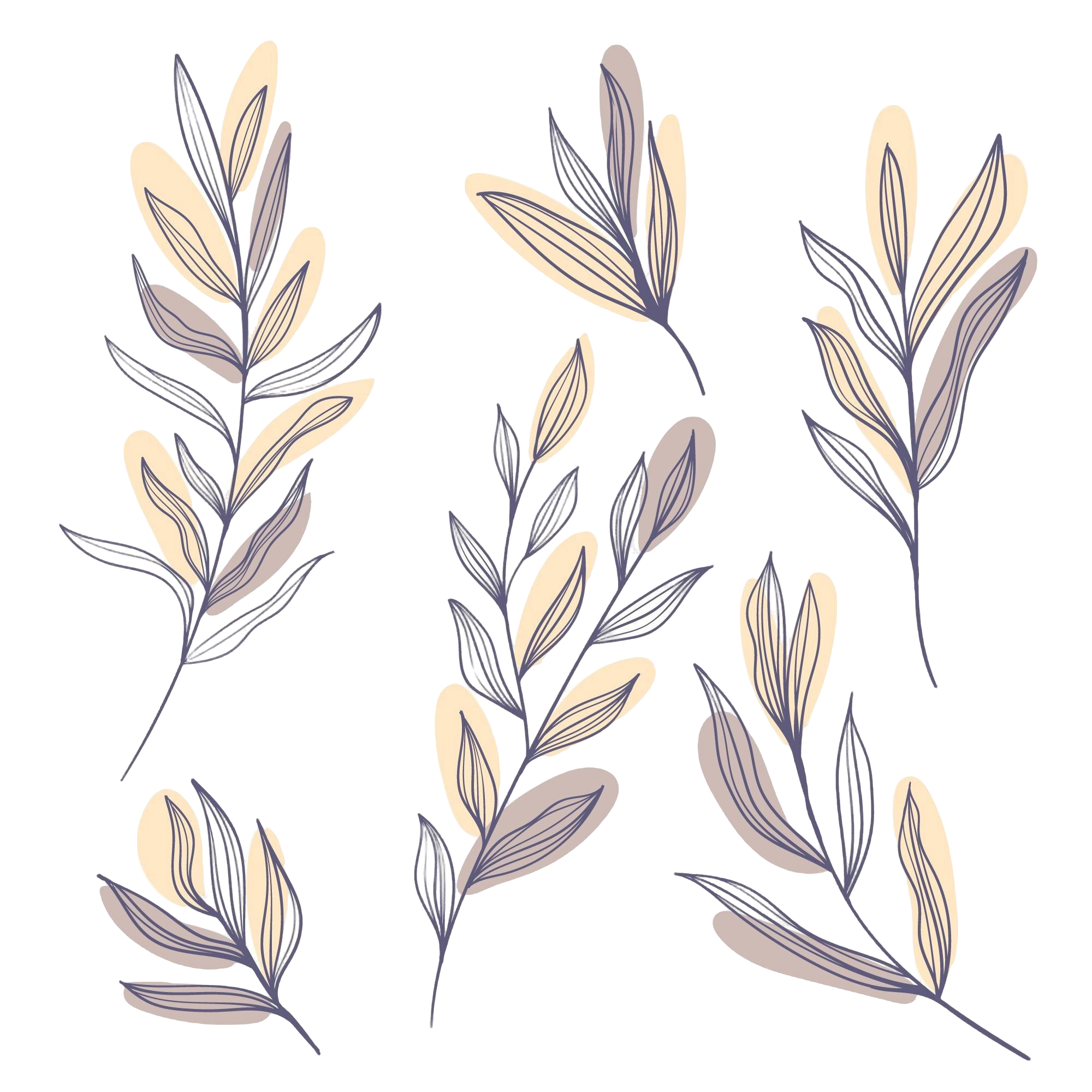 Stylized illustration of leaves and plants with soft beige background