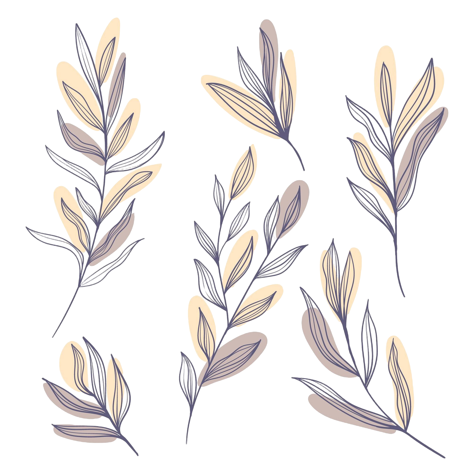 Illustration of beige food containers surrounded by outlined leaves.