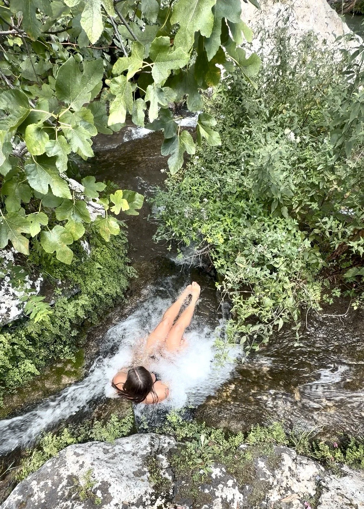 A person with dark hair swimming in a natural stream surrounded by green leafy foliage and rocks.