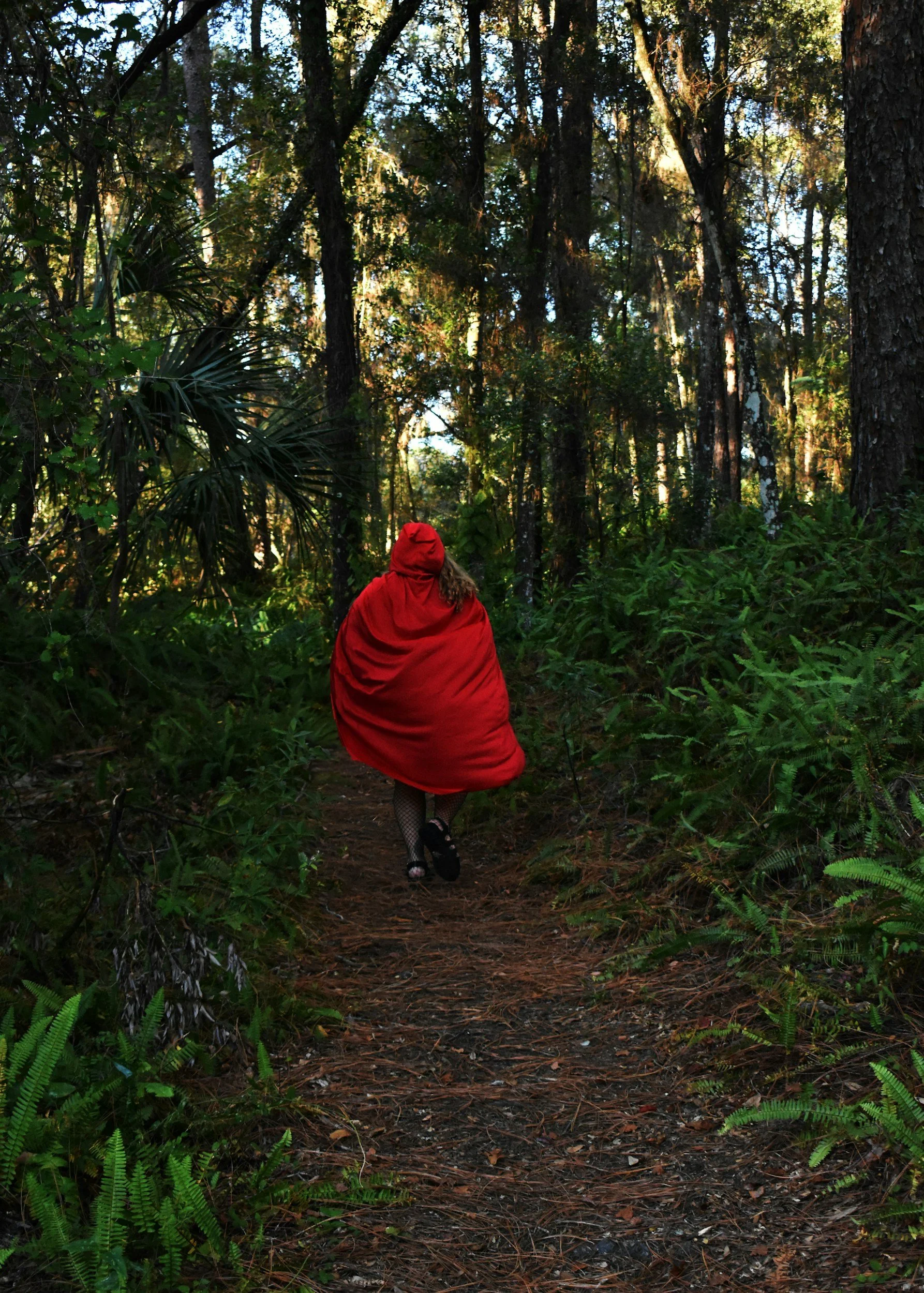 Person wrapped in a red blanket walking on a trail through a dense forest with tall trees and green foliage.