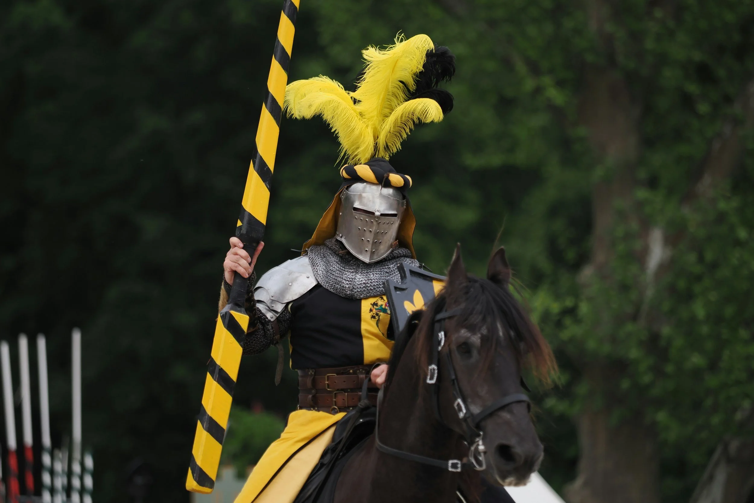 A person dressed as a knight in armor riding a black horse, holding a yellow and black striped lance, with a large yellow feather plume on their helmet, during a reenactment or historical event outdoors.