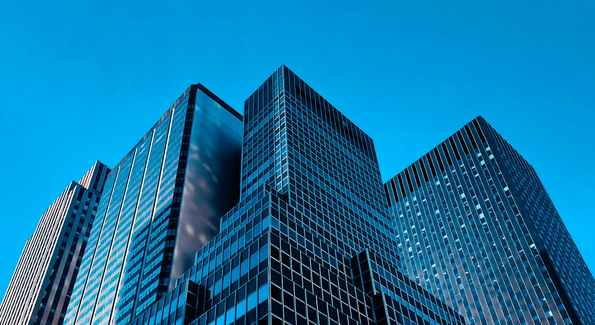 Australia's Most Promising Private Startups to Watch