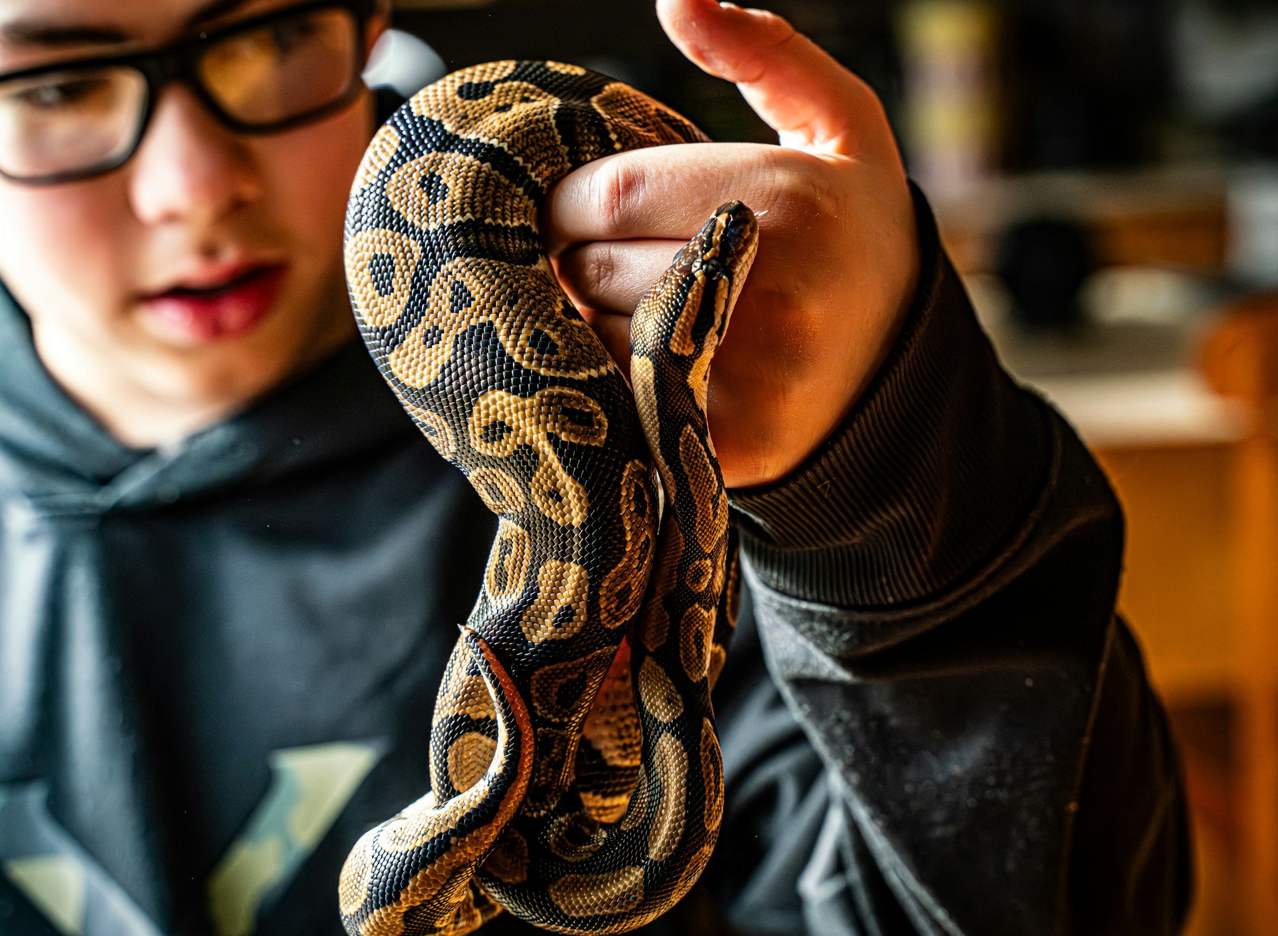 OriginReptiles