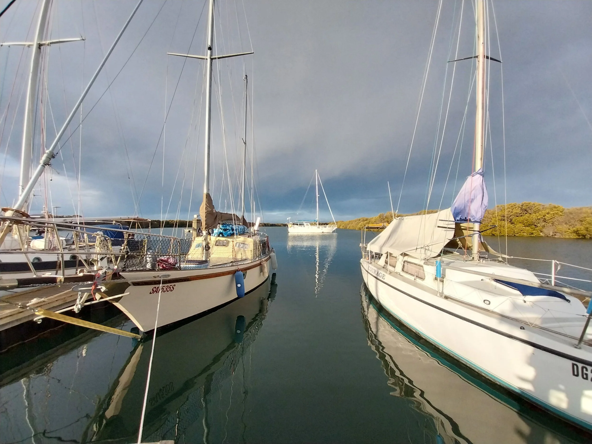 Multiple sailboats docked in a marina with their masts reaching upward. Calm water reflects the boats and a cloudy sky overhead.
