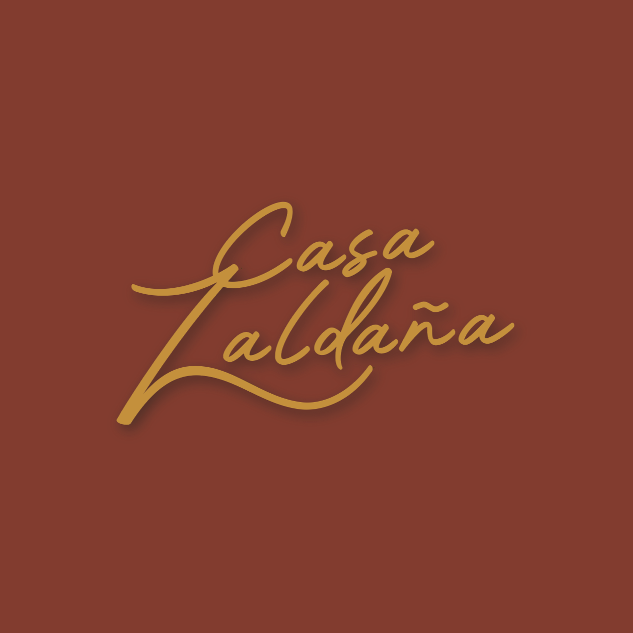 Book cover with the title 'Casa Zaldāña' in cursive font on a brown background.