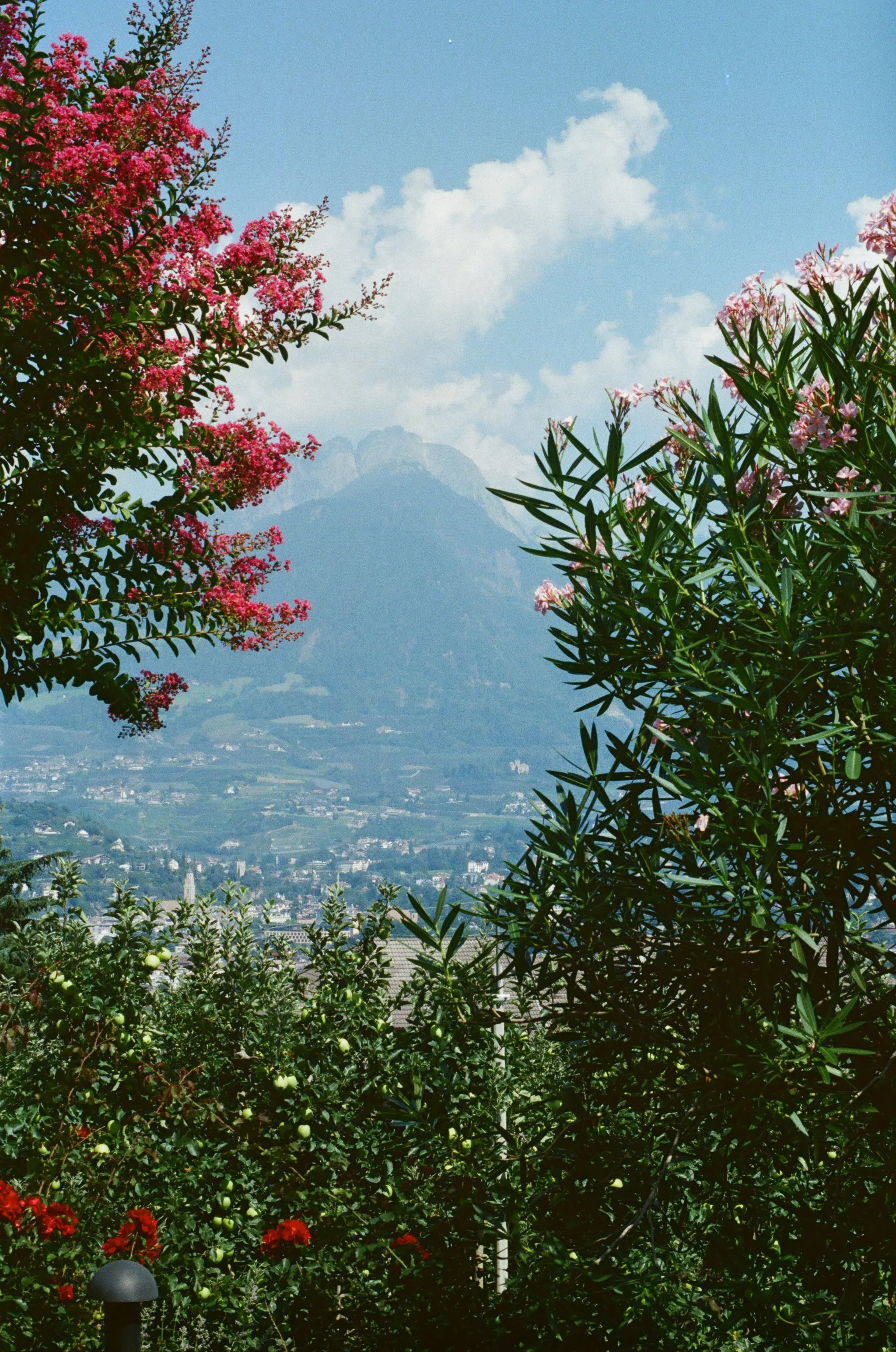Italy—2025