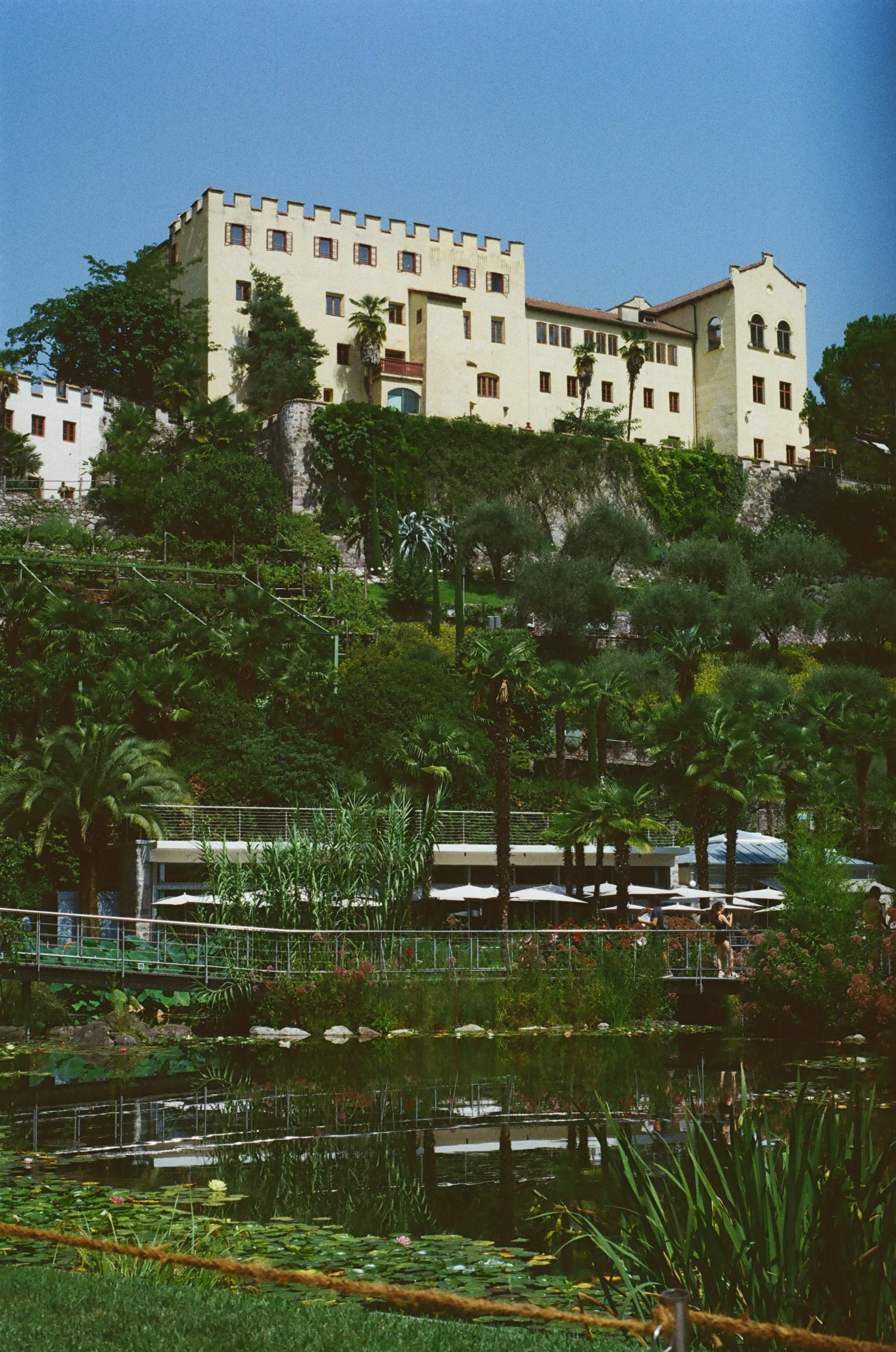 135.jpg
