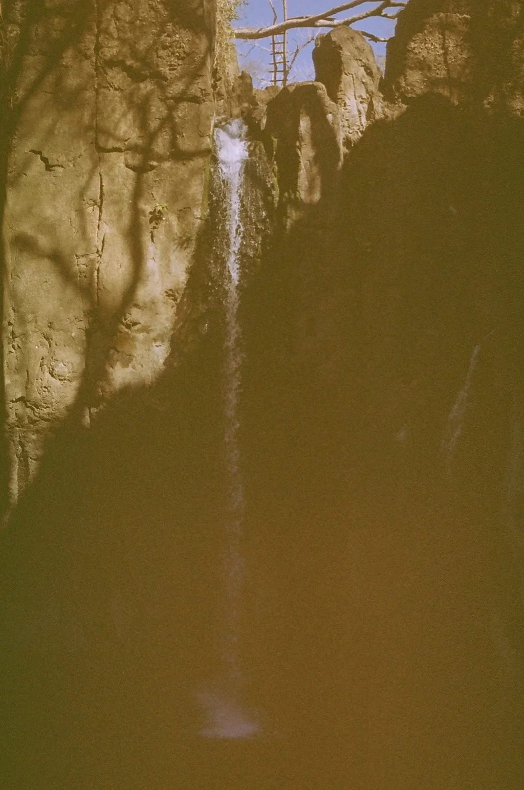 58.JPG