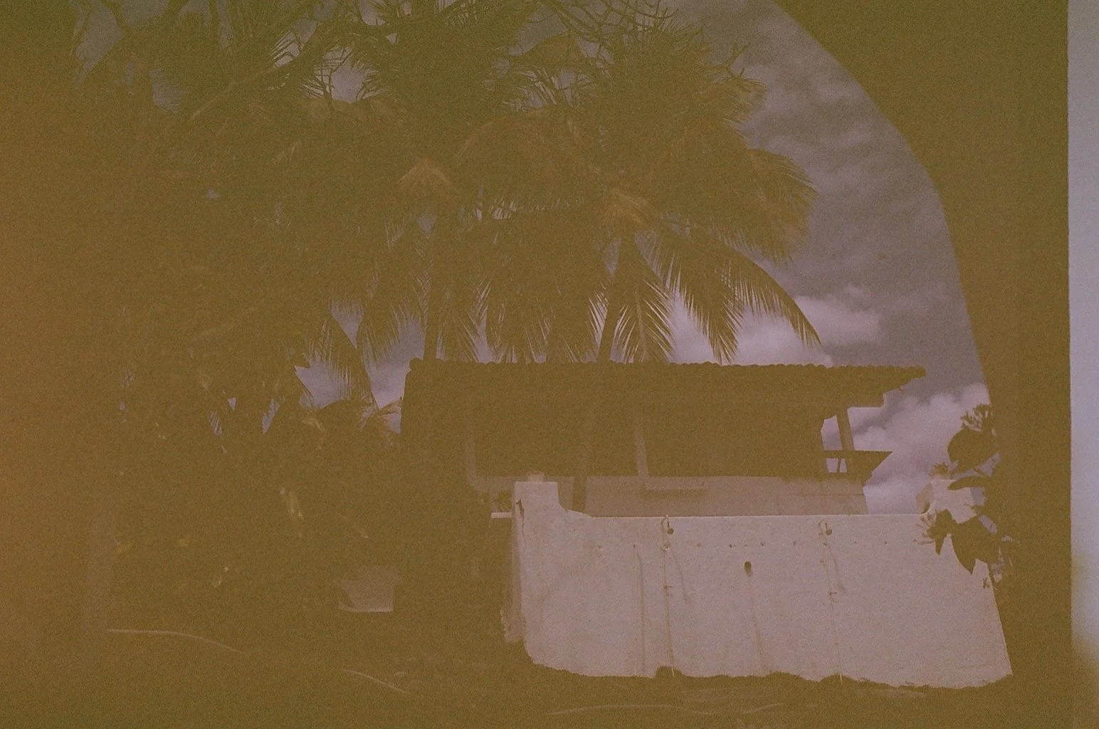 65.JPG