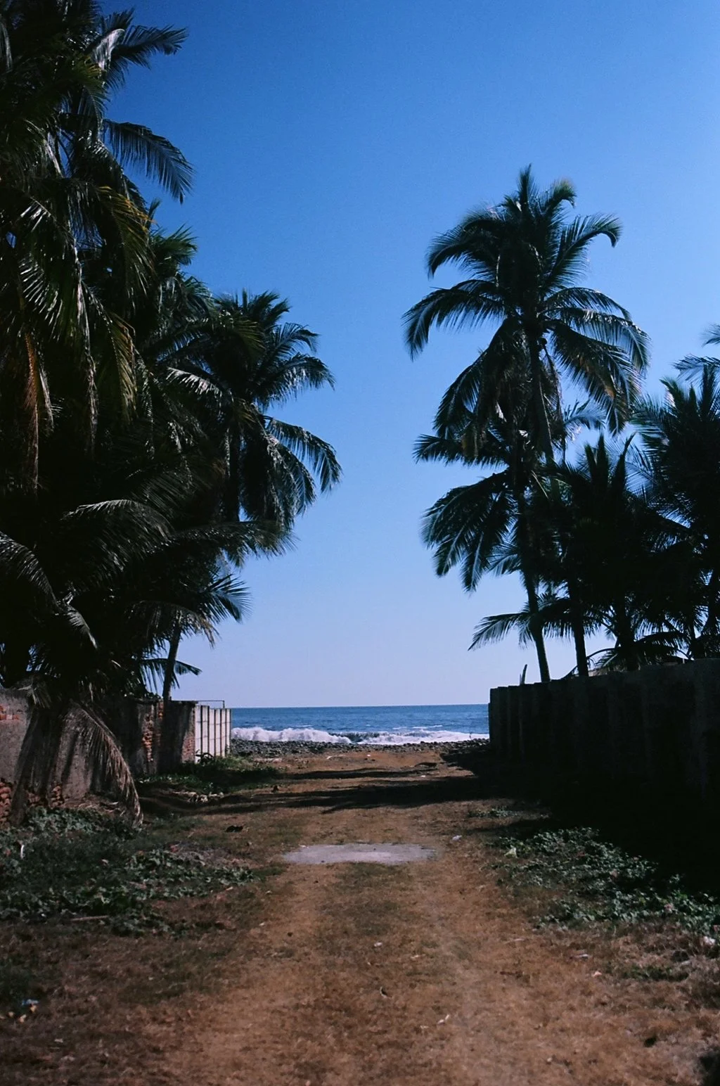 79.JPG