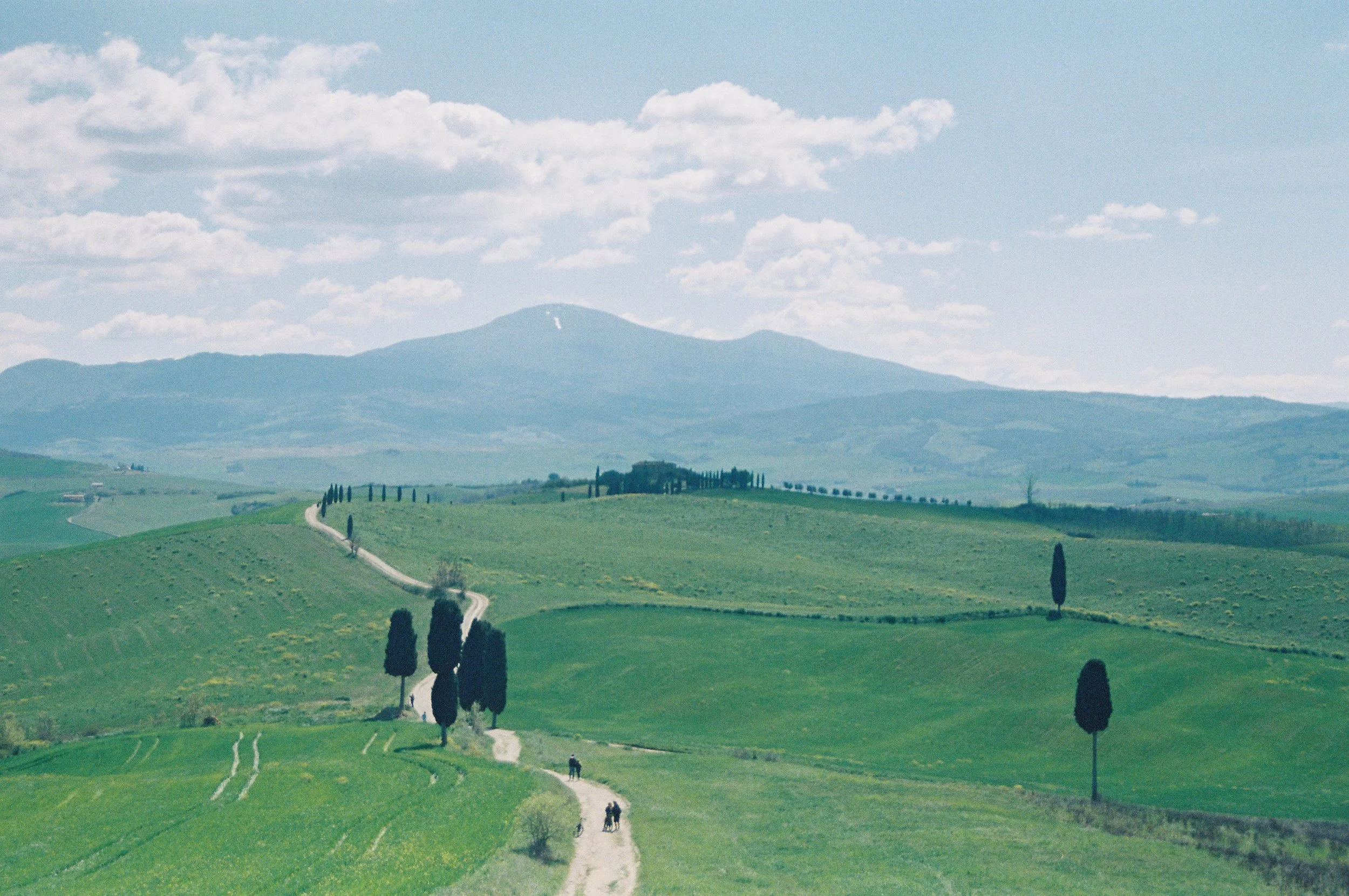 Scenic view of rolling green hills in the countryside with a winding road, tall cypress trees, and distant mountains under a blue sky with scattered clouds.