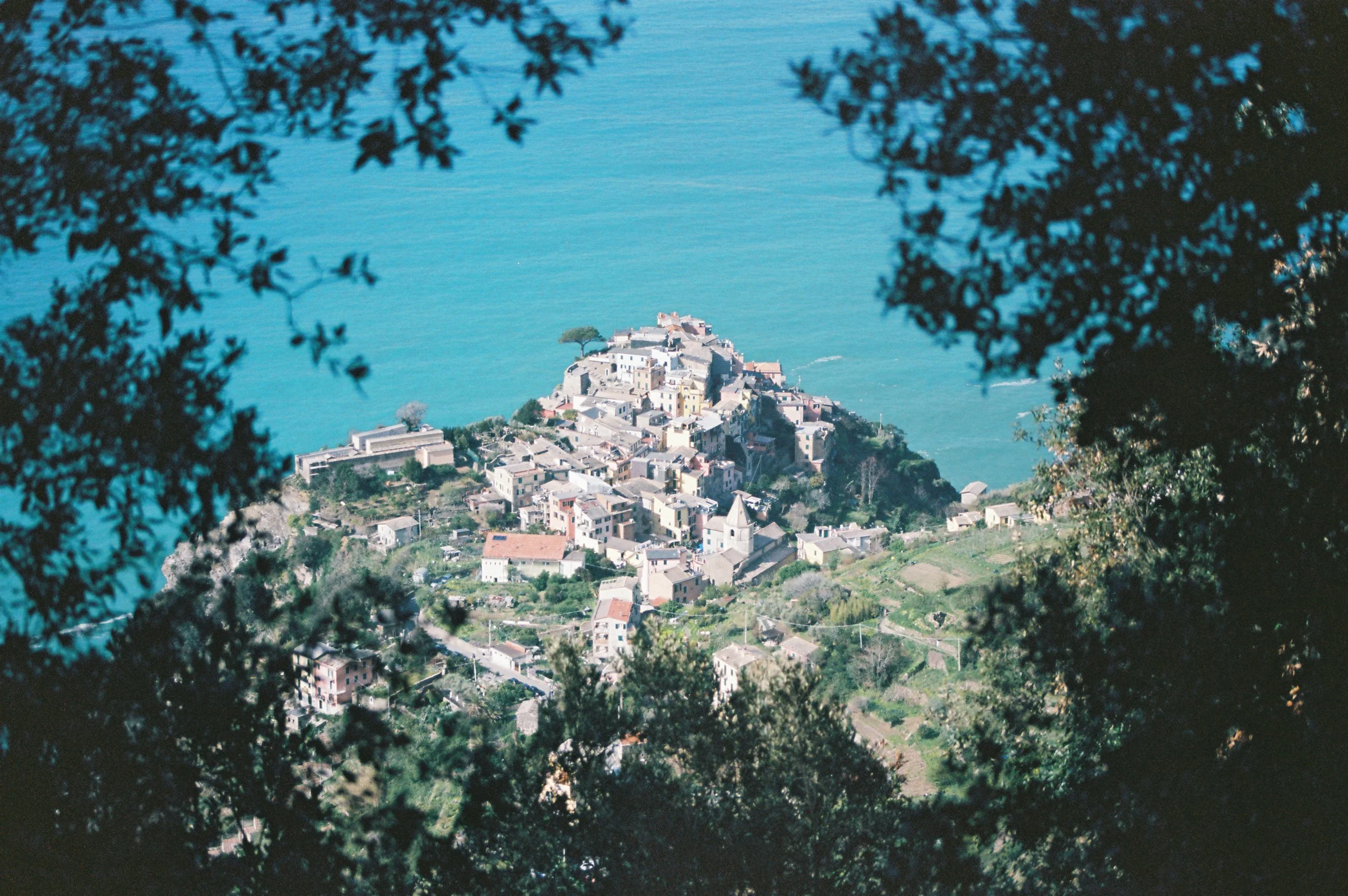 A small coastal town with colorful buildings on a hillside, framed by tree branches, overlooking a body of water.