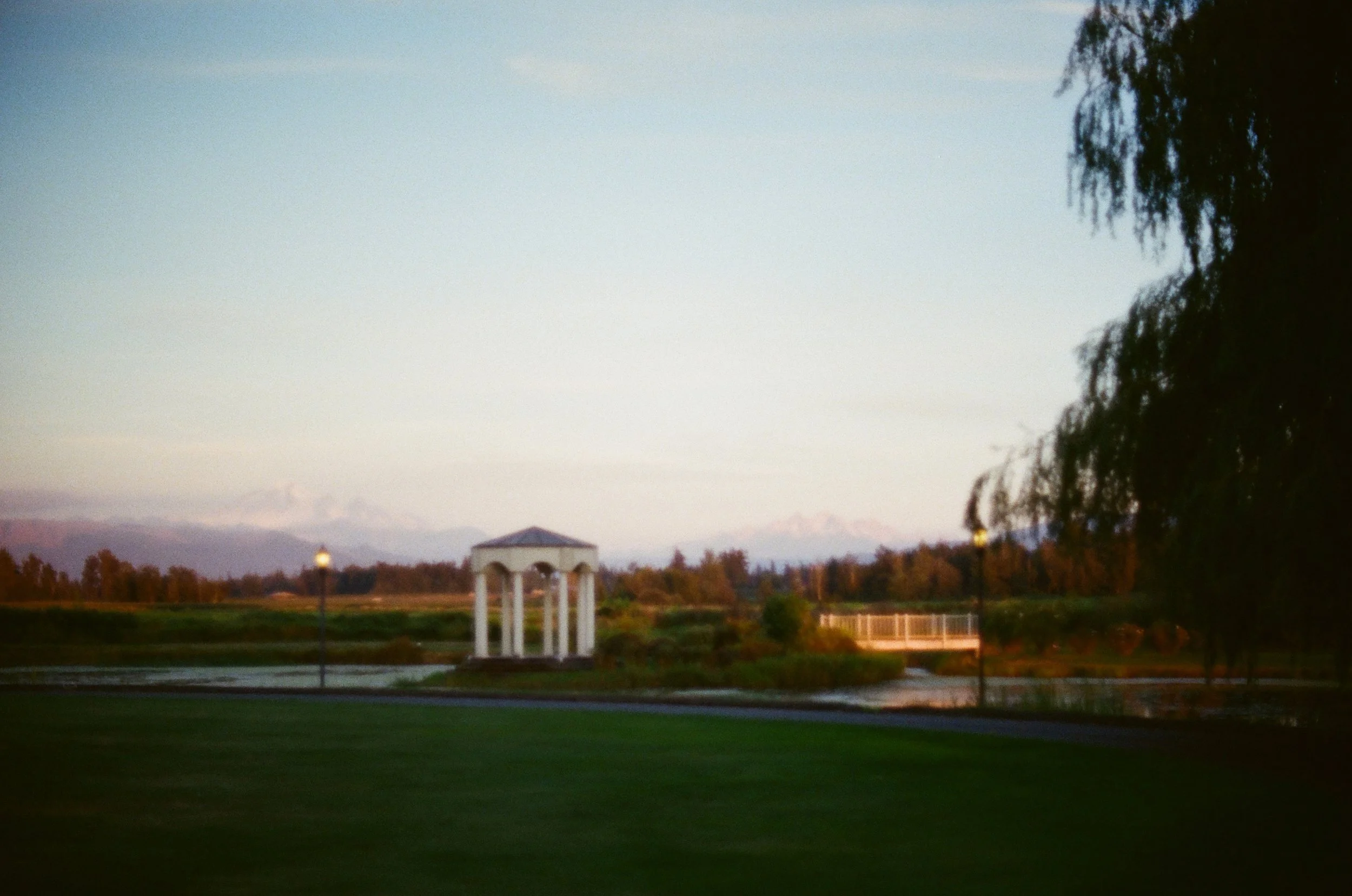 93.jpg