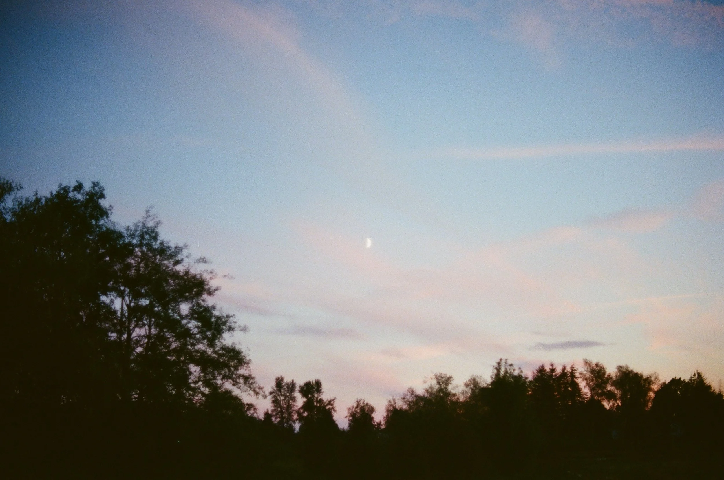99.jpg