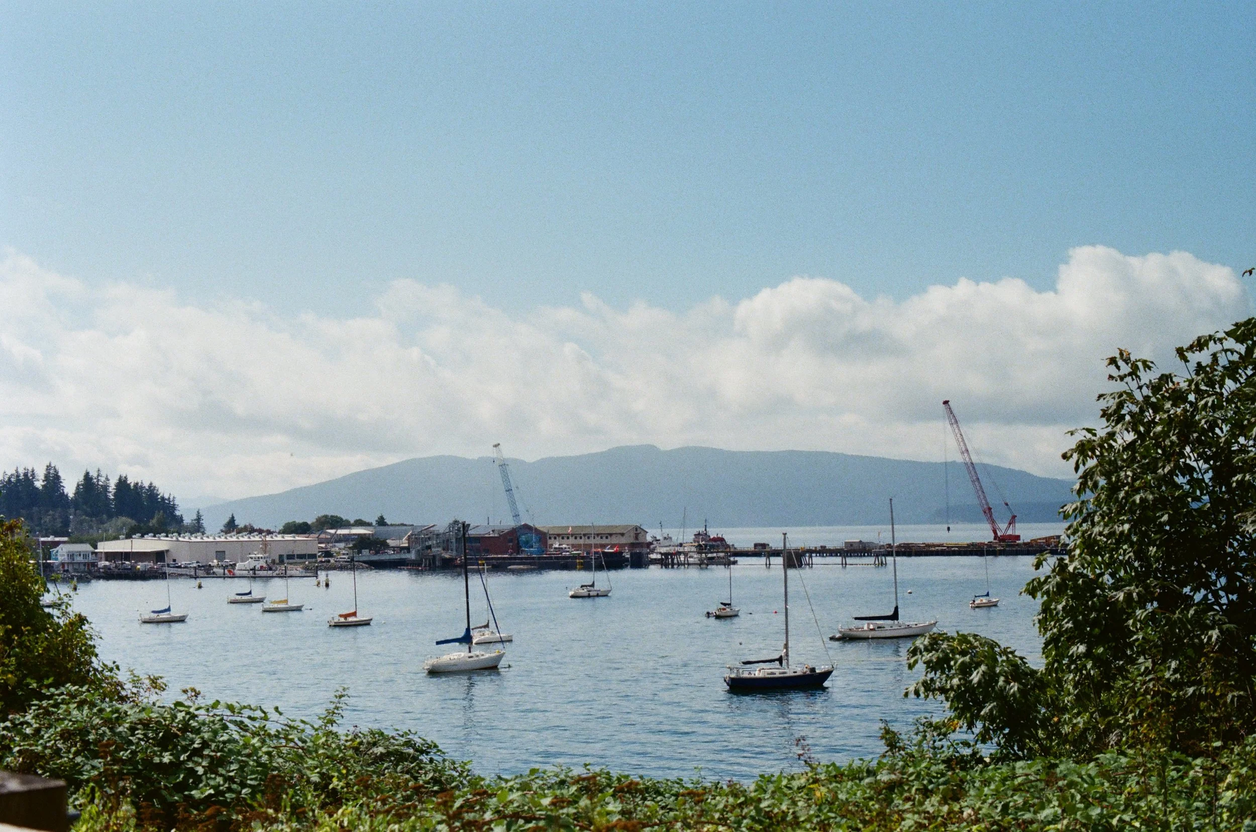 135.jpg
